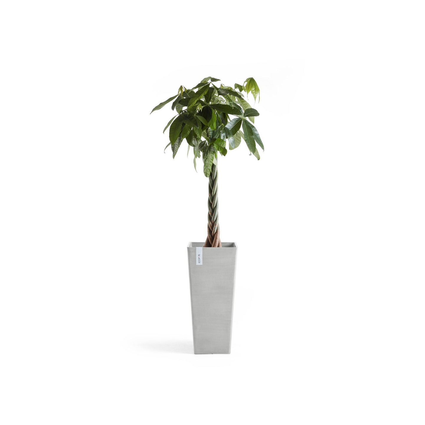 Ruukku Ecopots Rotterdam korkea 70cm valkoharmaa