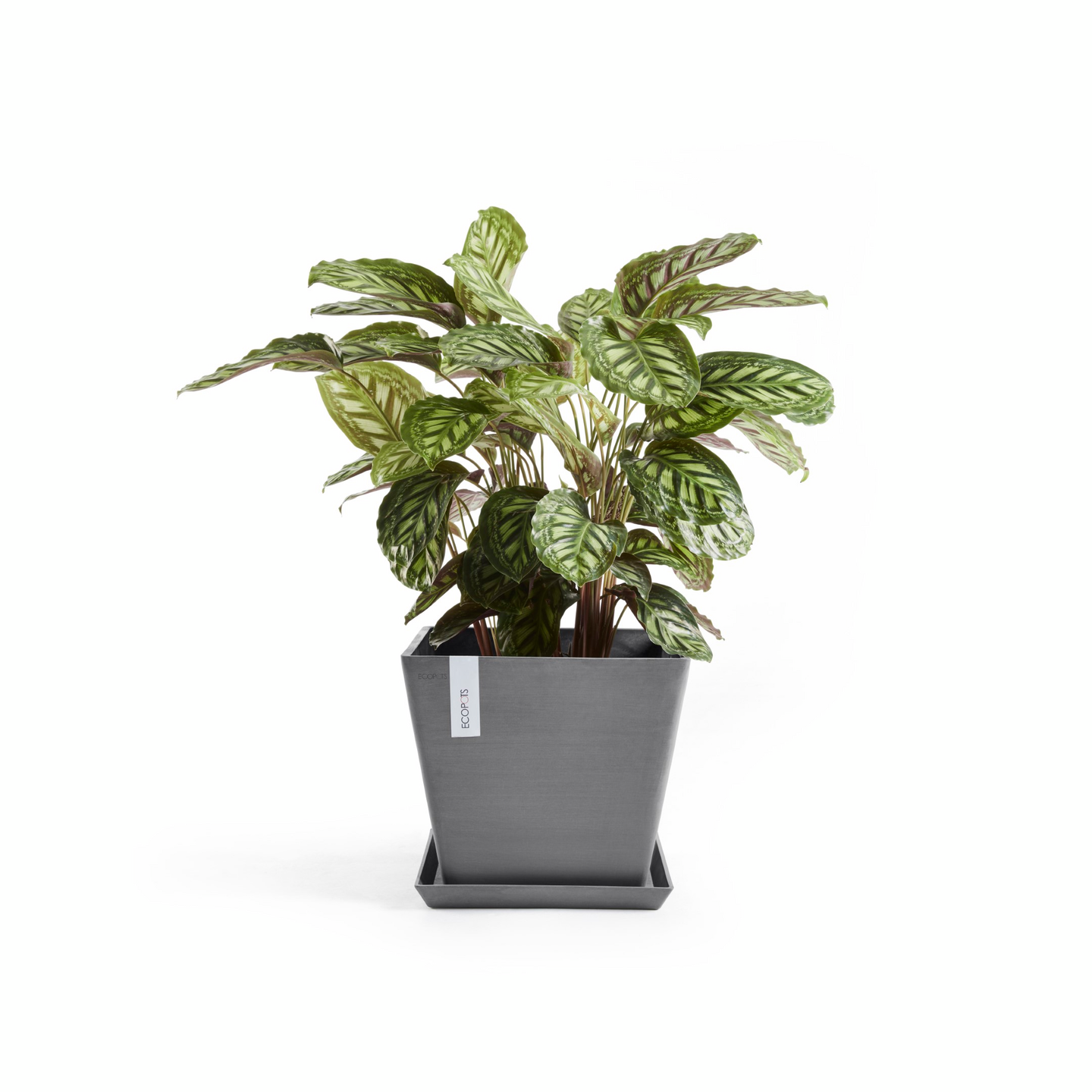 Ruukku Ecopots Rotterdam 50cm harmaa