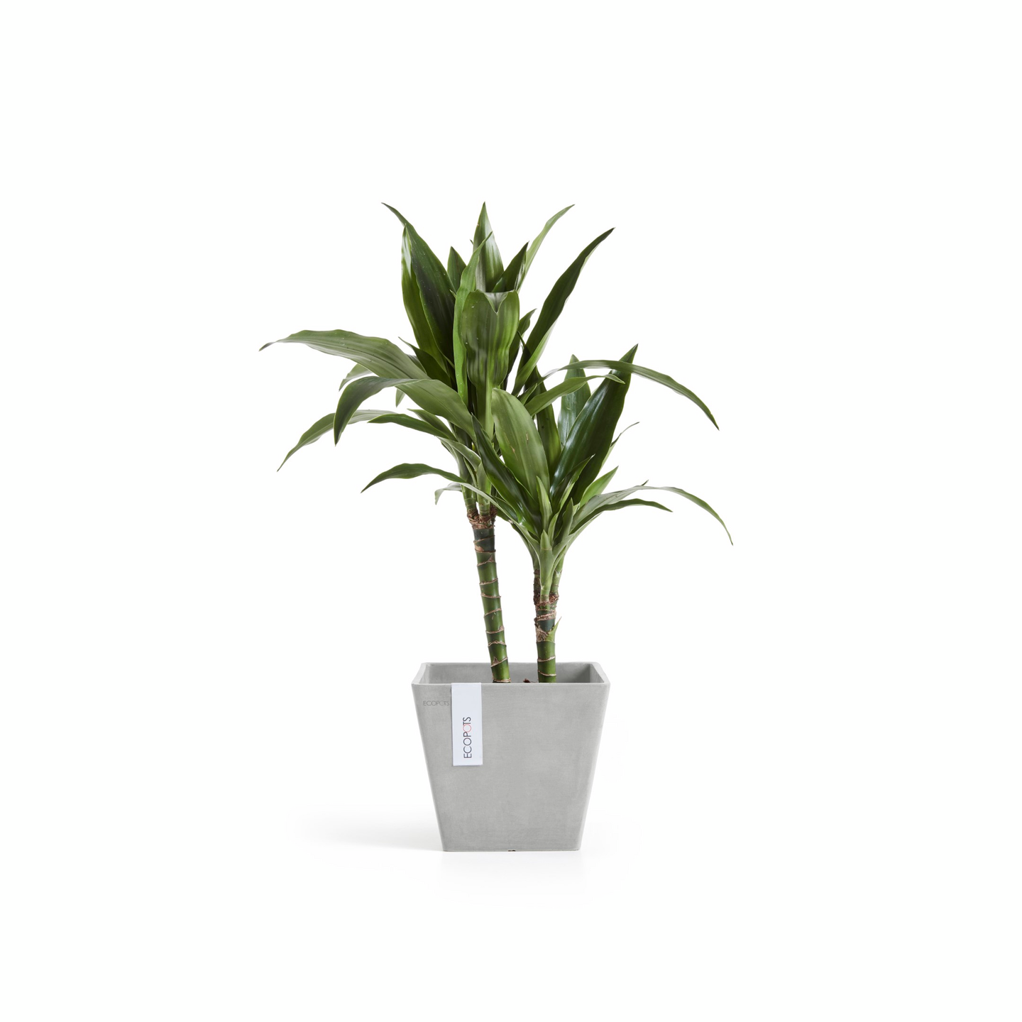 Ruukku Ecopots Rotterdam 20cm valkoharmaa