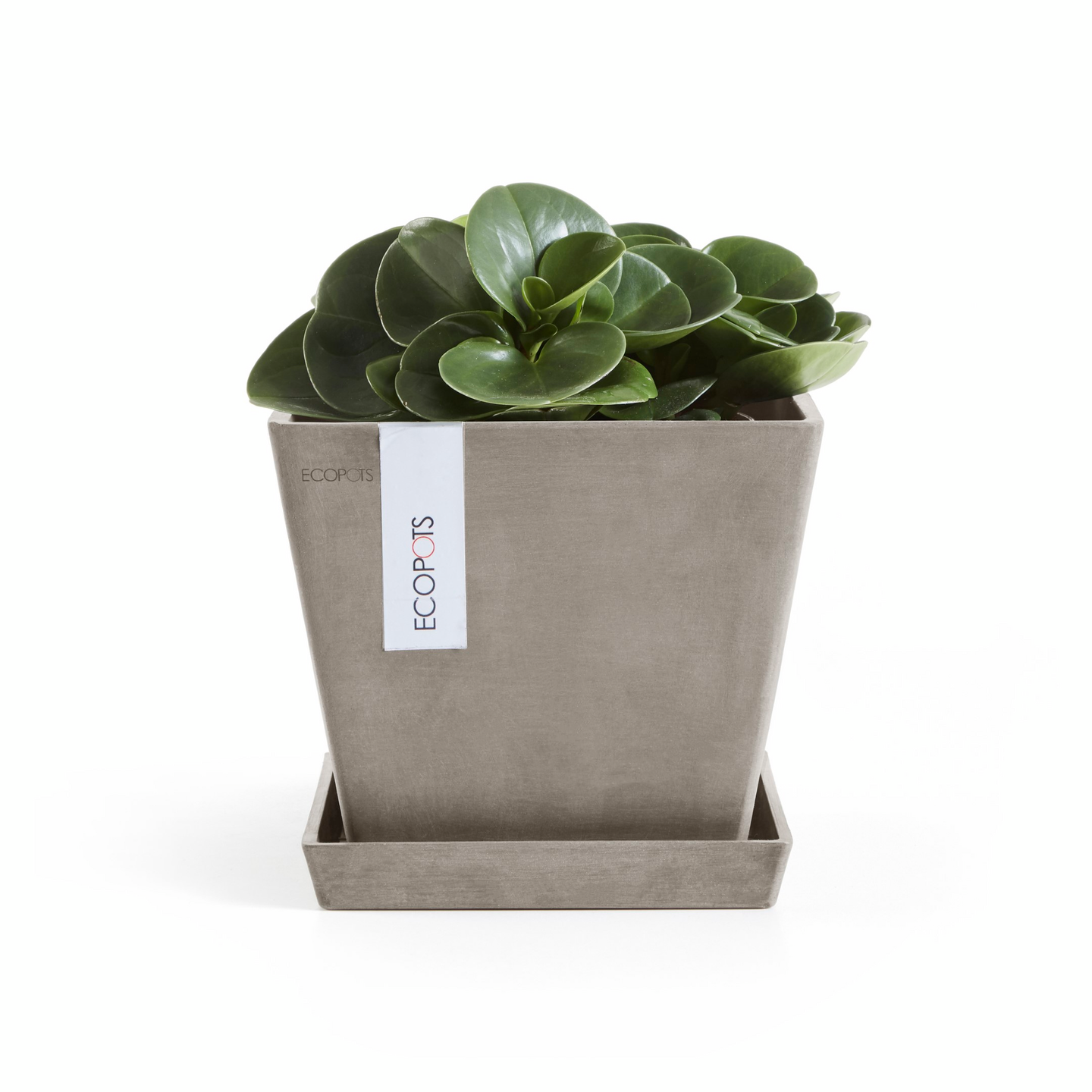 Ruukku Ecopots Rotterdam 20cm taupe