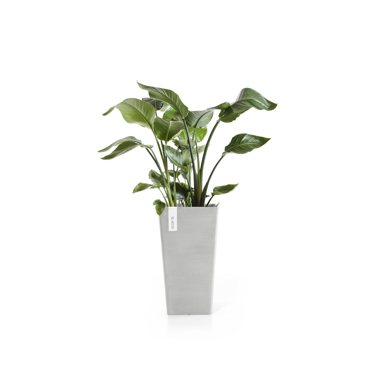 Ruukku Ecopots Rotterdam keskikorkea 56cm valkoharmaa