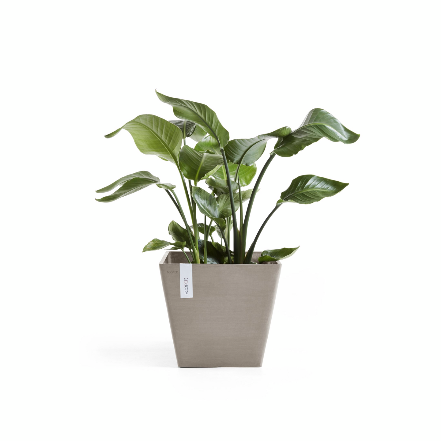 Ruukku Ecopots Rotterdam 50cm taupe