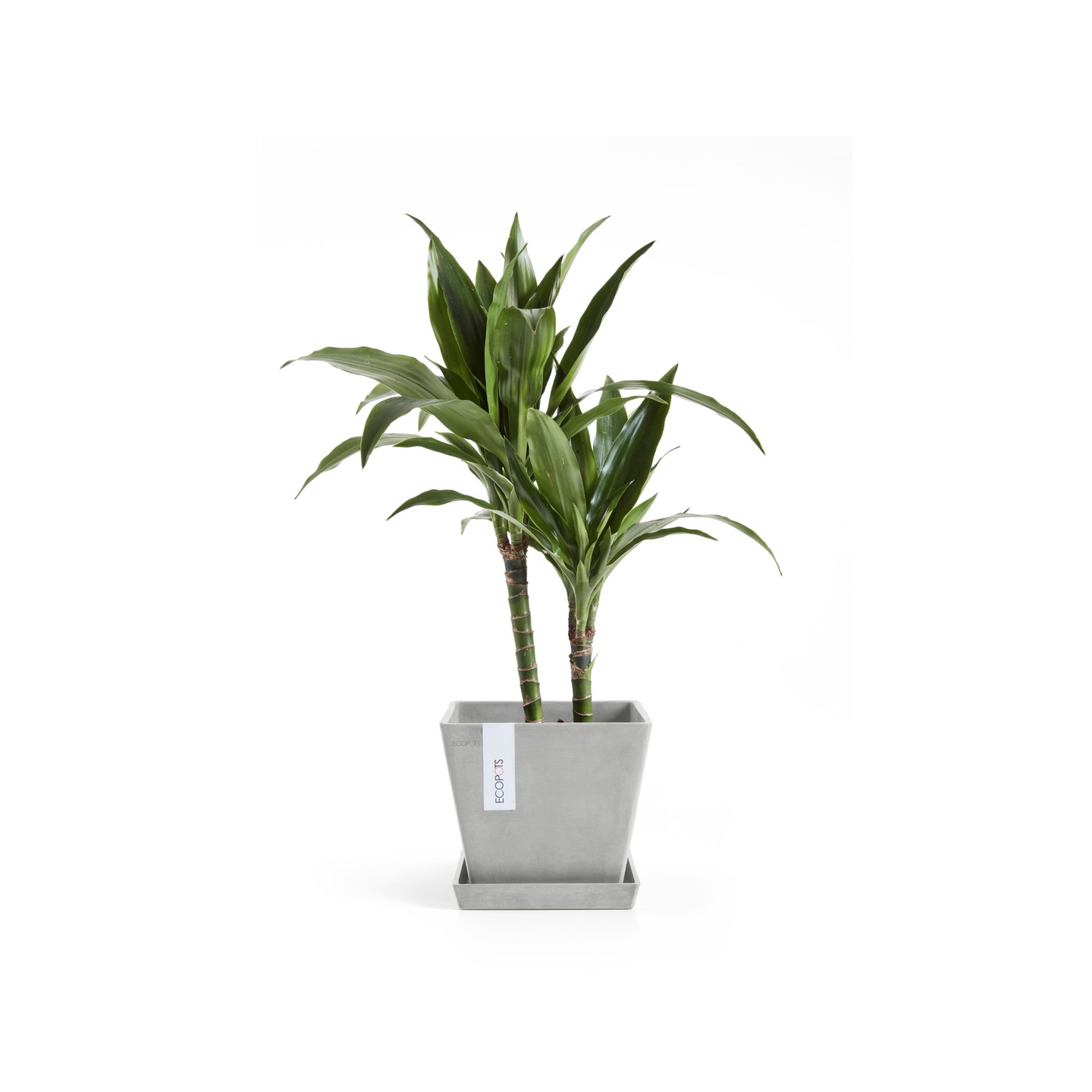 Ruukku Ecopots Rotterdam 20cm valkoharmaa
