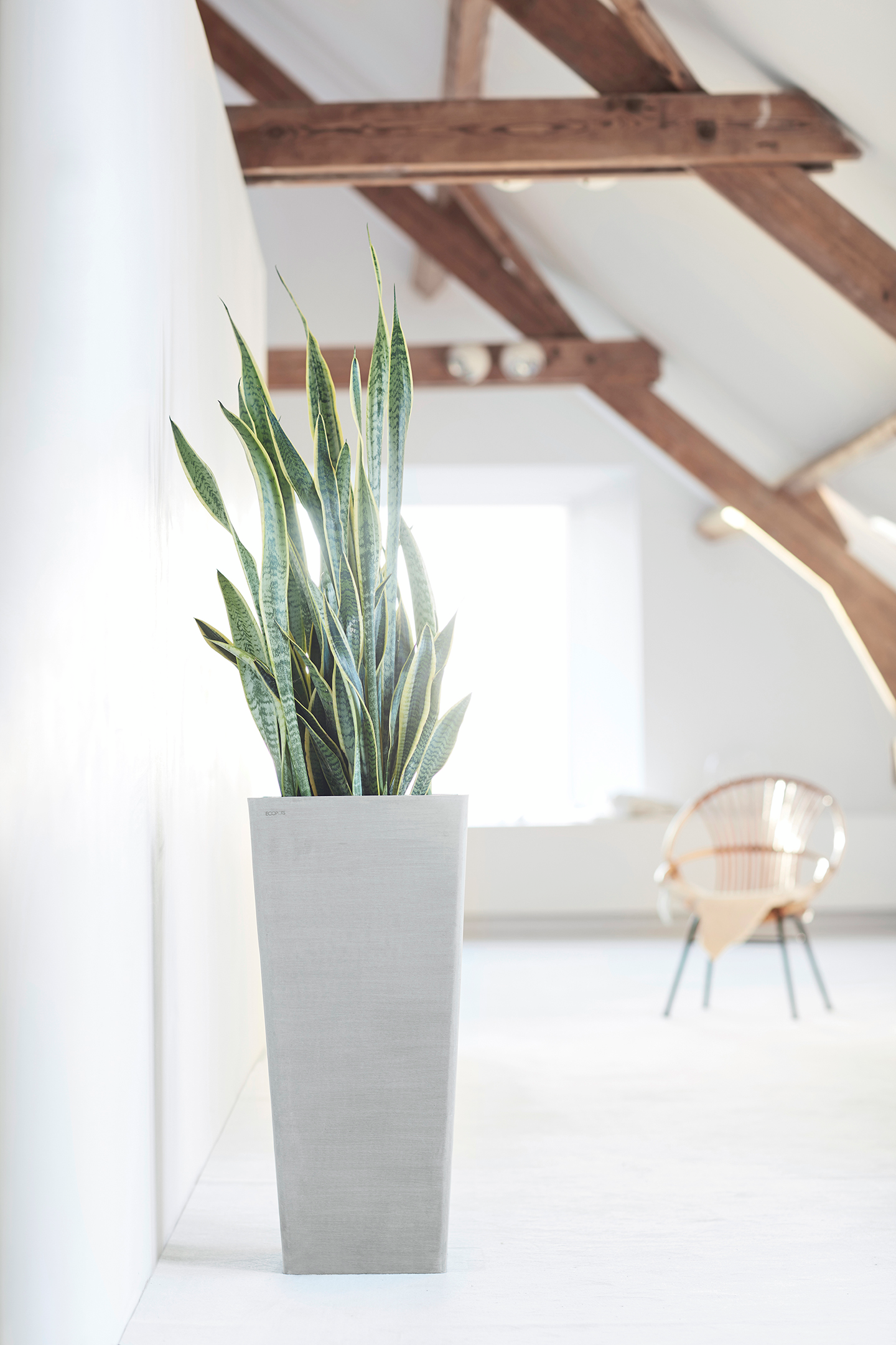 Ruukku Ecopots Rotterdam korkea 70cm valkoharmaa