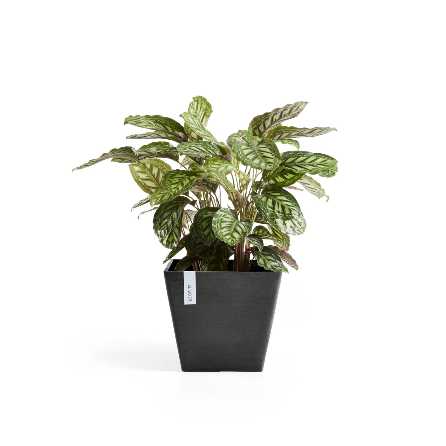 Ruukku Ecopots Rotterdam 50cm tummanharmaa