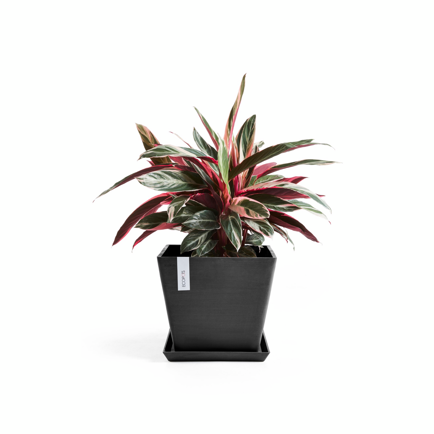 Ruukku Ecopots Rotterdam 50cm tummanharmaa
