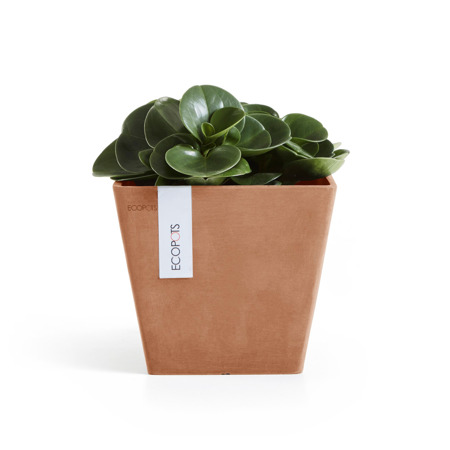 Ruukku Ecopots Rotterdam 20cm terracotta