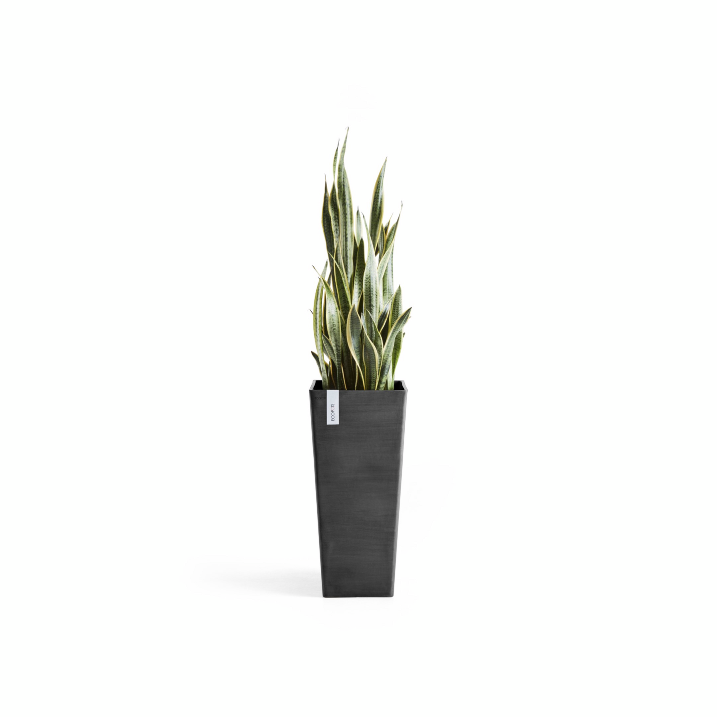 Ruukku Ecopots Rotterdam korkea 70cm tummanharmaa