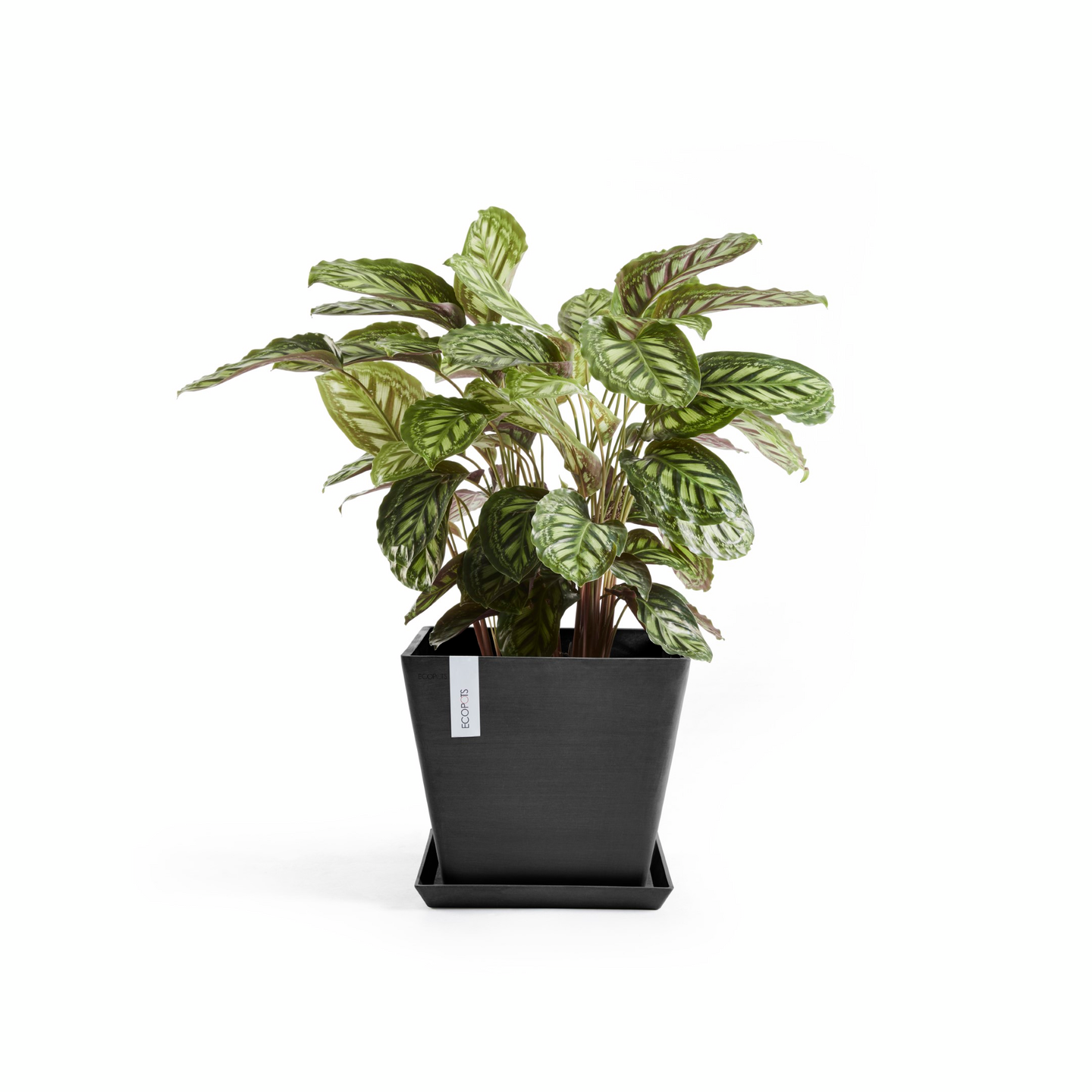 Ruukku Ecopots Rotterdam 30cm tummanharmaa