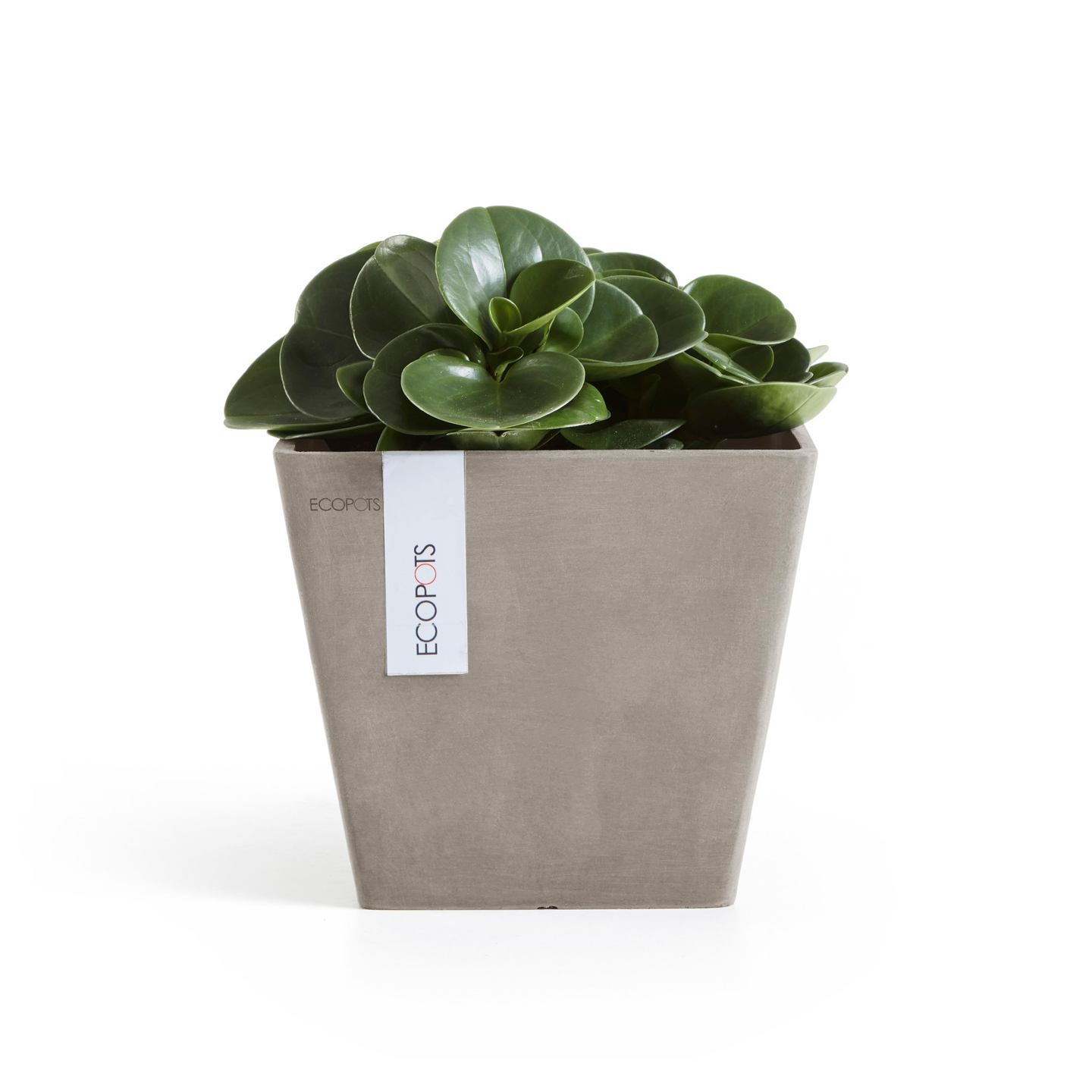 Ruukku Ecopots Rotterdam 20cm taupe