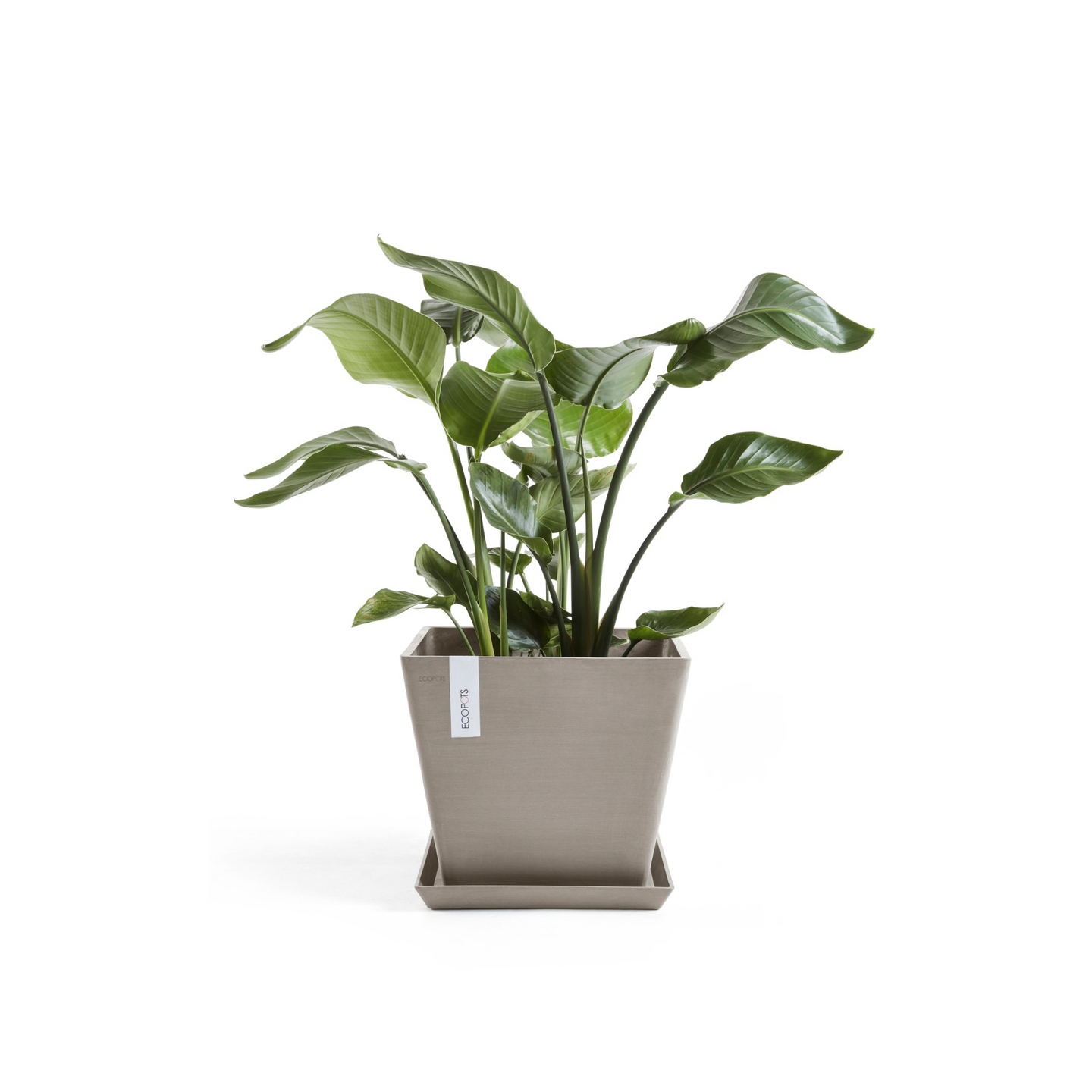 Ruukku Ecopots Rotterdam 50cm taupe