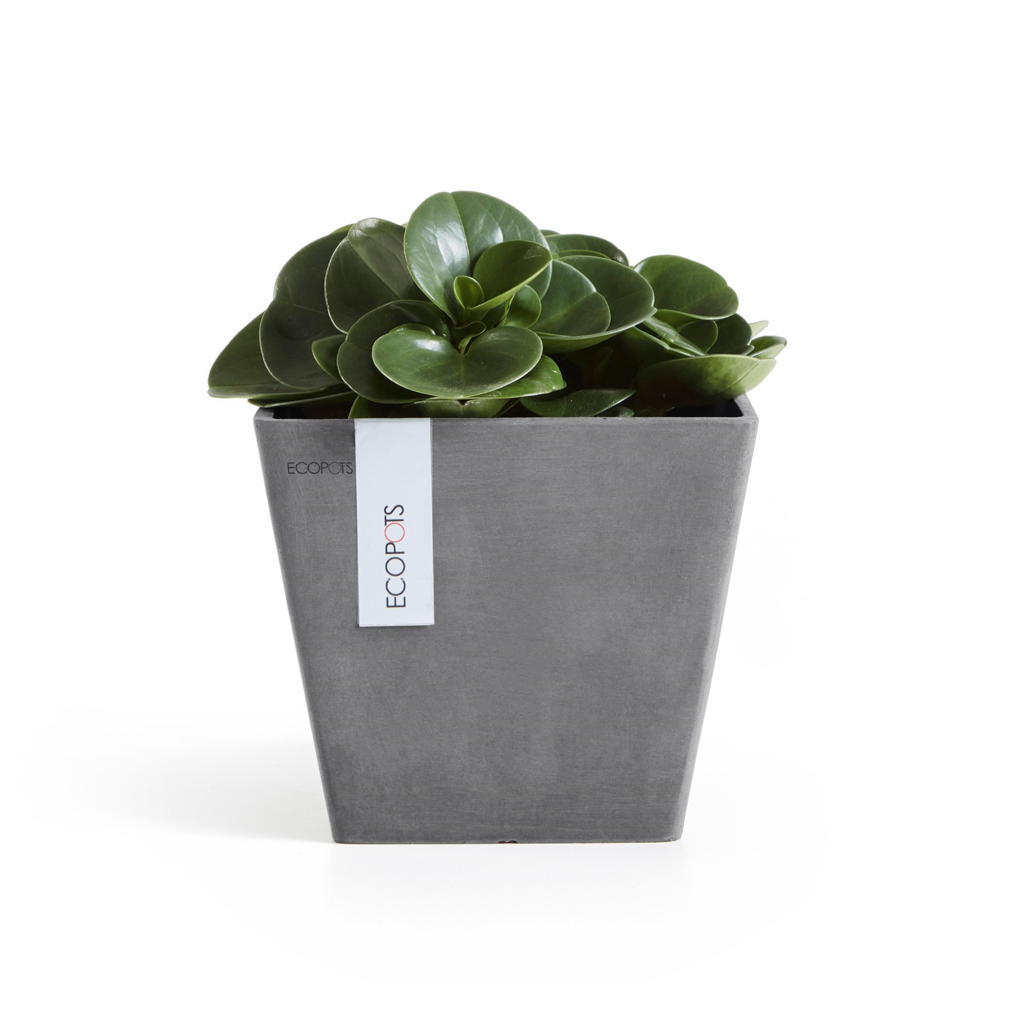 Ruukku Ecopots Rotterdam 20cm harmaa