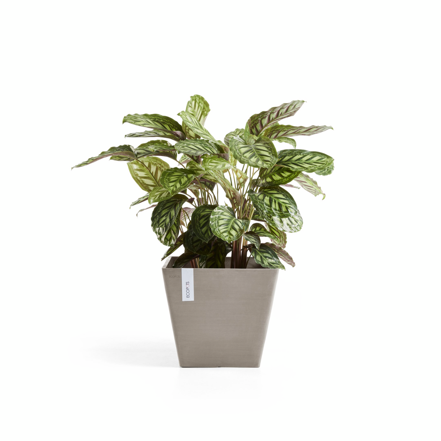 Ruukku Ecopots Rotterdam 50cm taupe