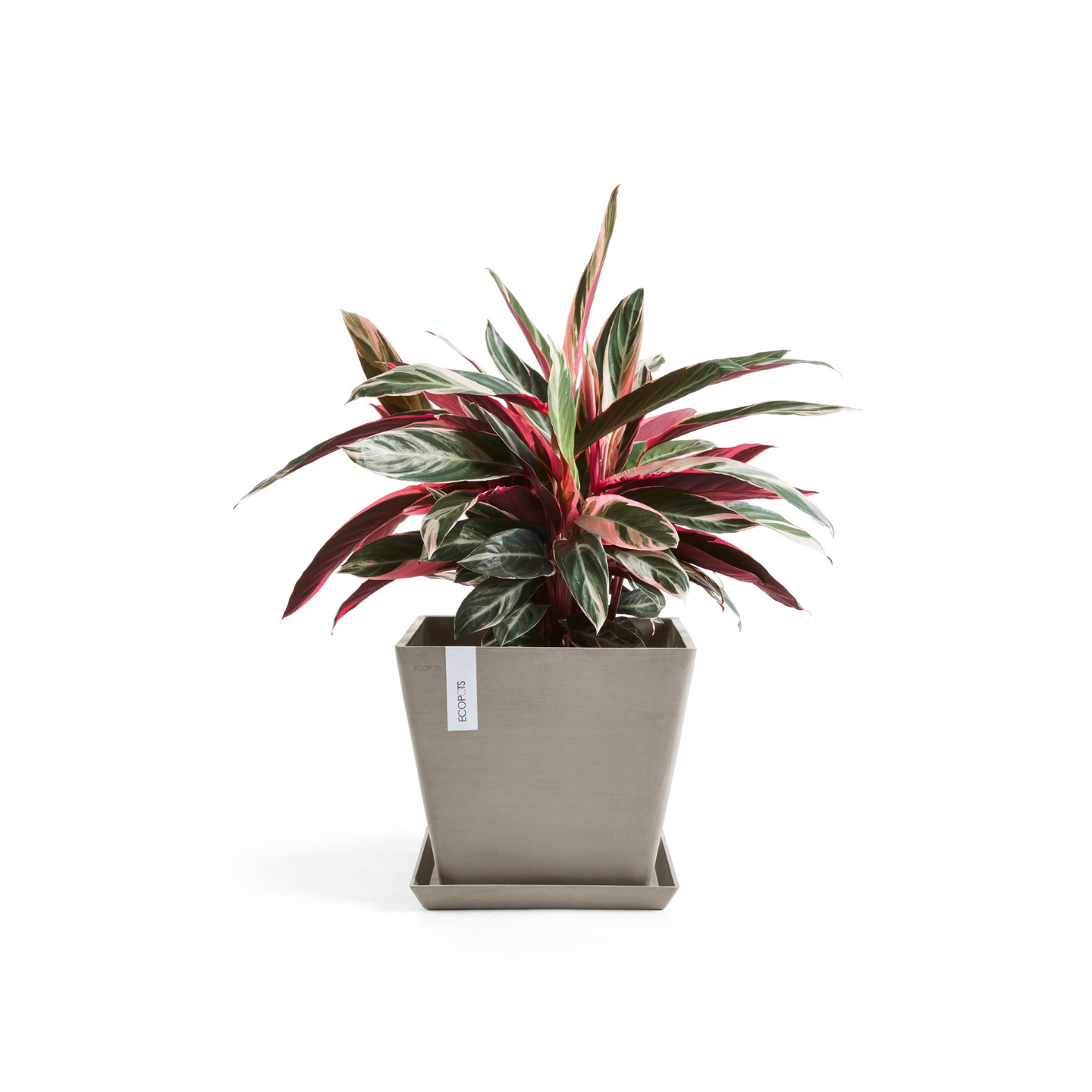 Ruukku Ecopots Rotterdam 50cm taupe