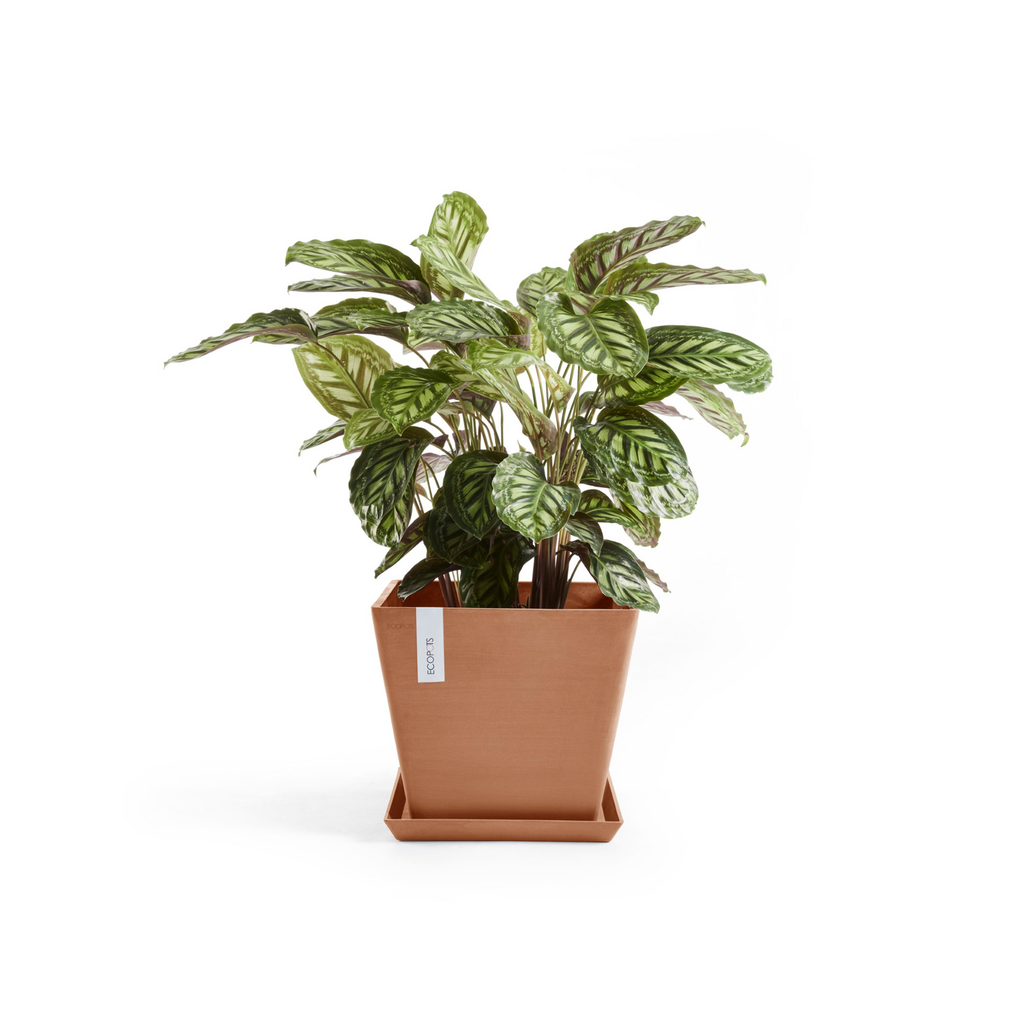 Ruukku Ecopots Rotterdam 50cm terracotta