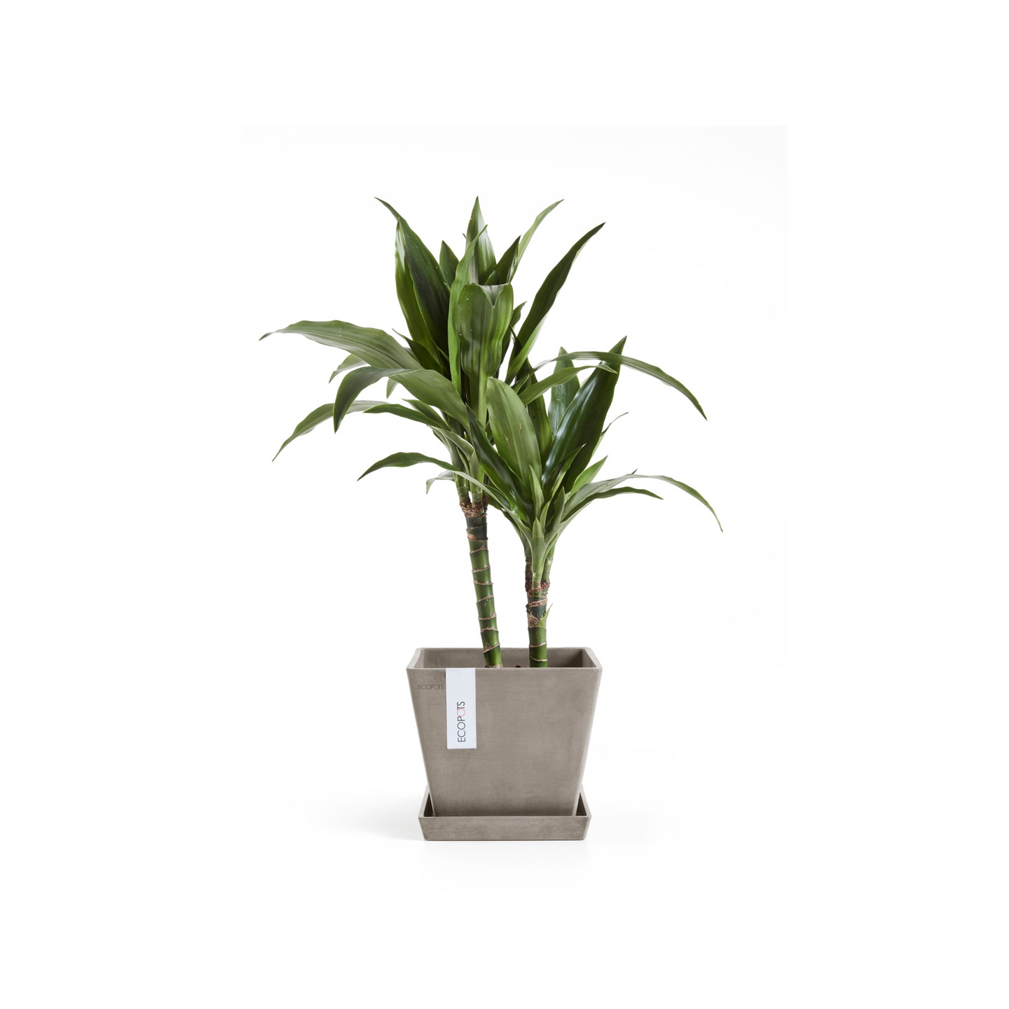 Ruukku Ecopots Rotterdam 20cm taupe