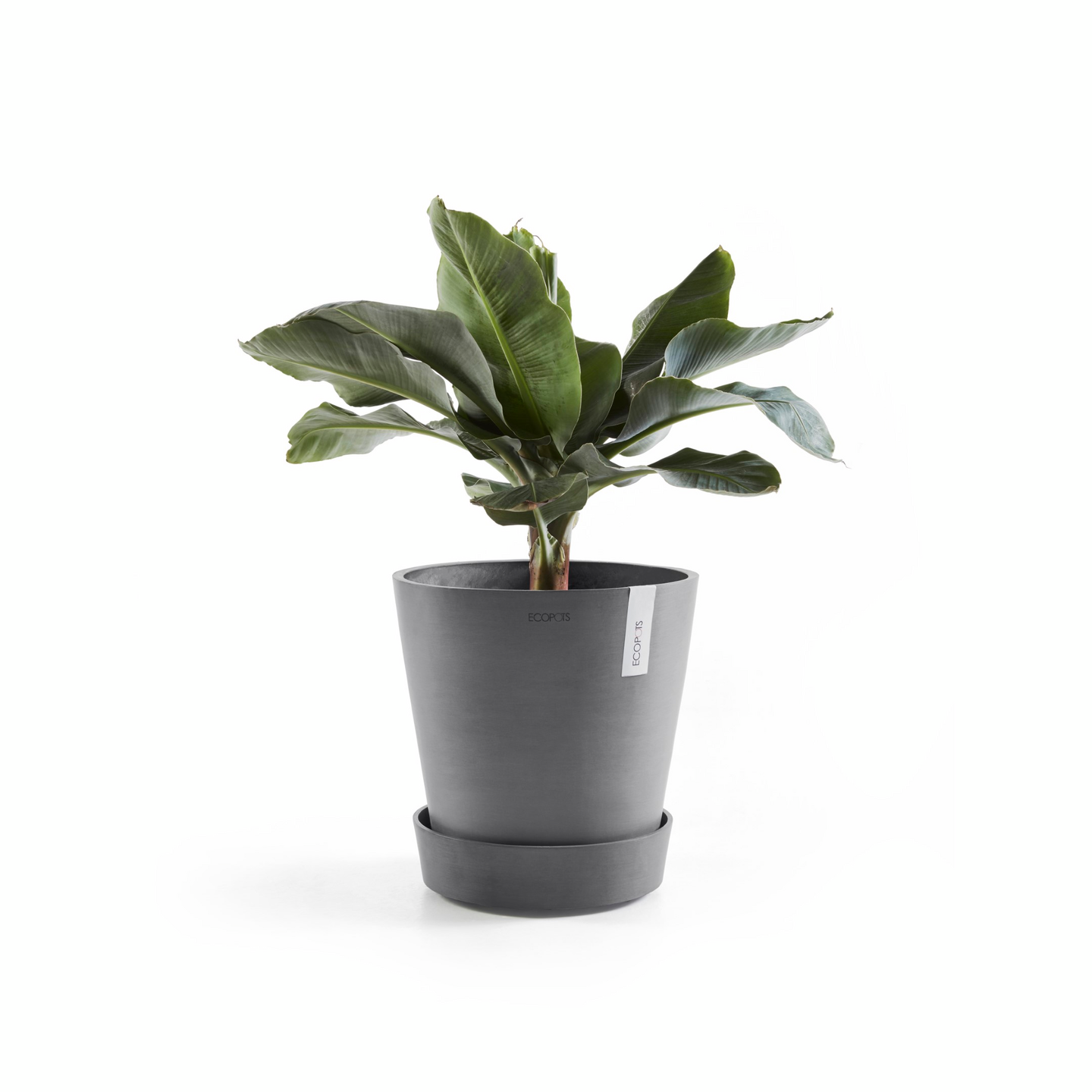 Aluslautanen pyörillä Ecopots 50cm harmaa