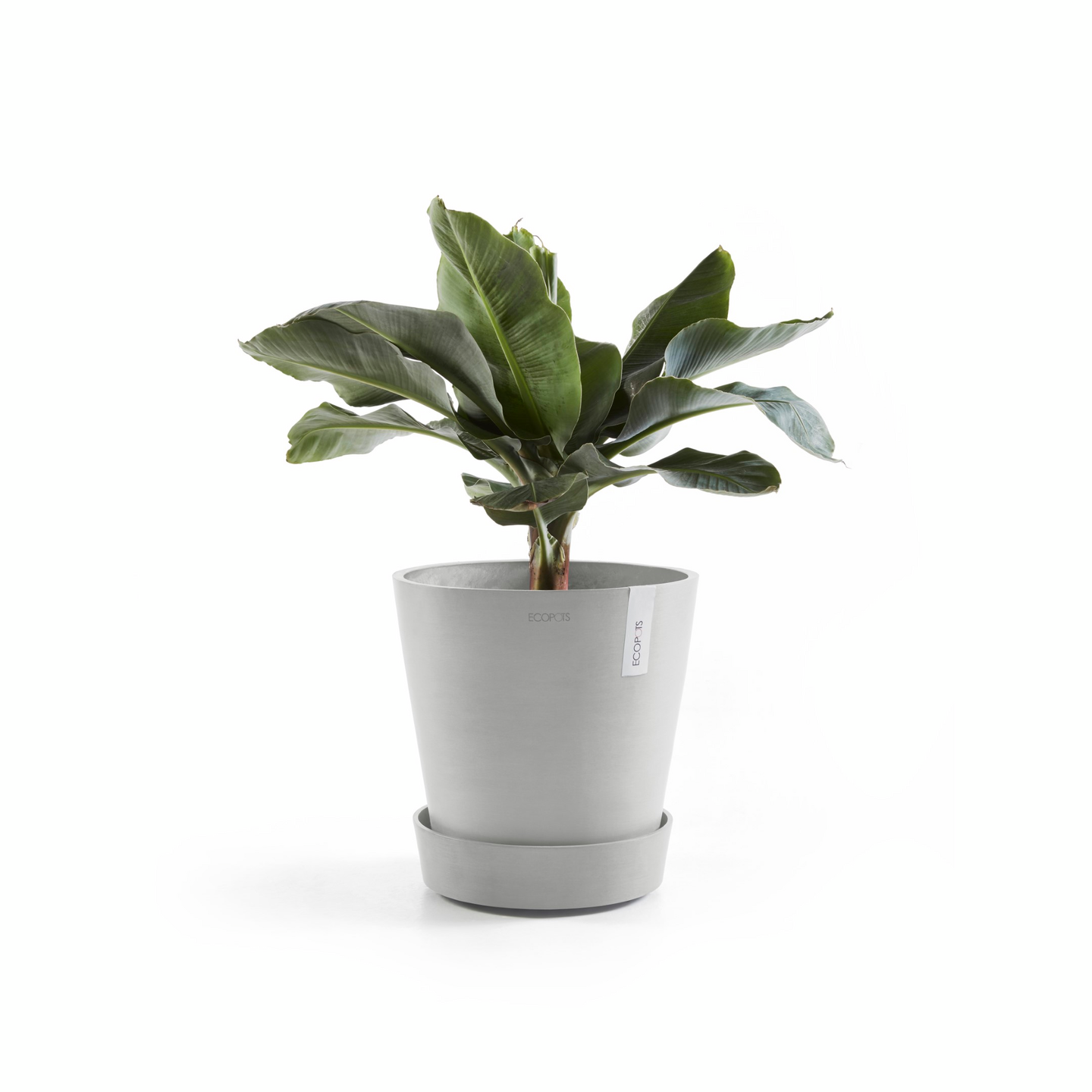 Aluslautanen pyörillä Ecopots 50cm valkoharmaa