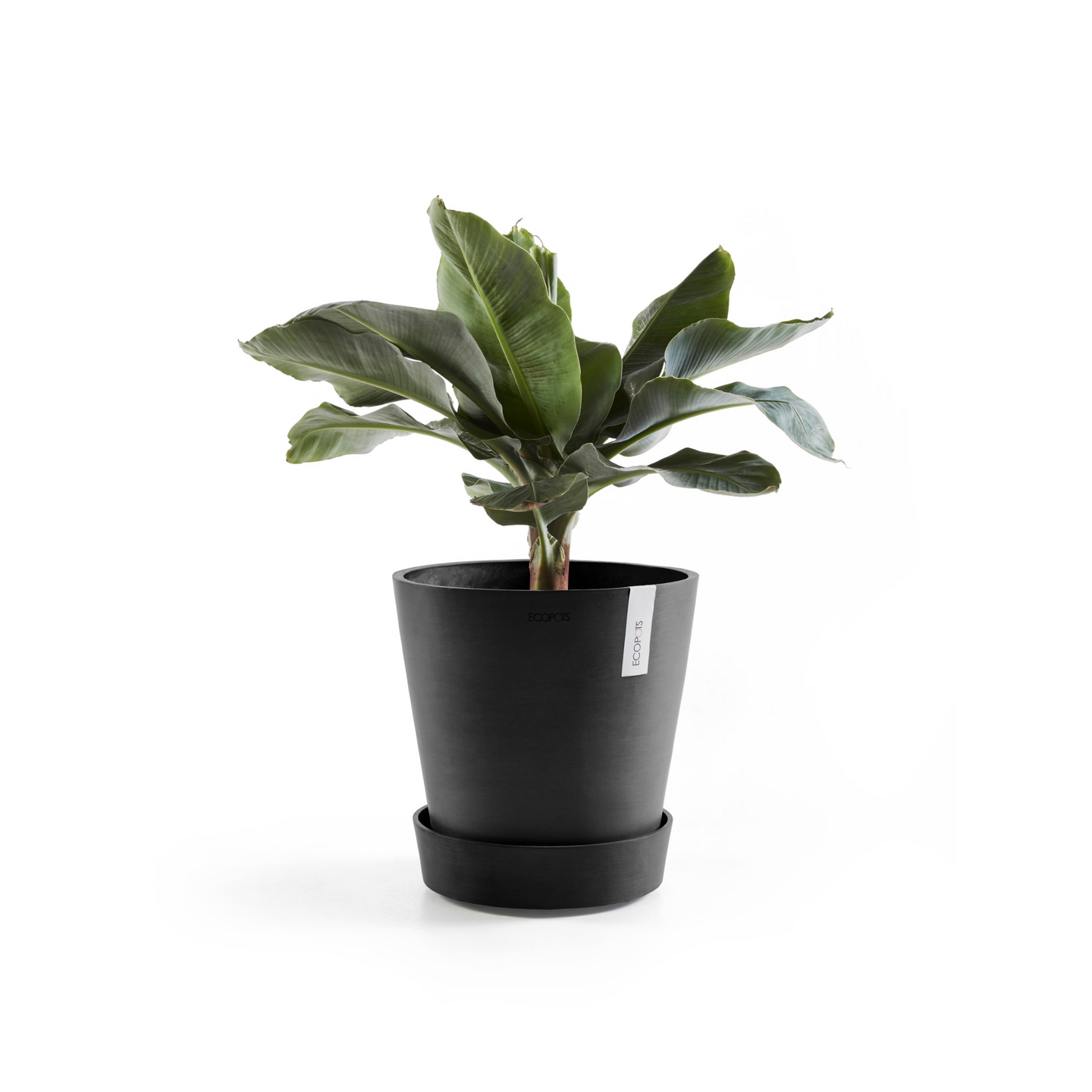 Aluslautanen pyörillä Ecopots 50cm tummanharmaa