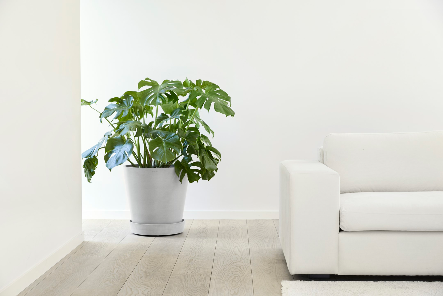 Aluslautanen pyörillä Ecopots 50cm valkoharmaa