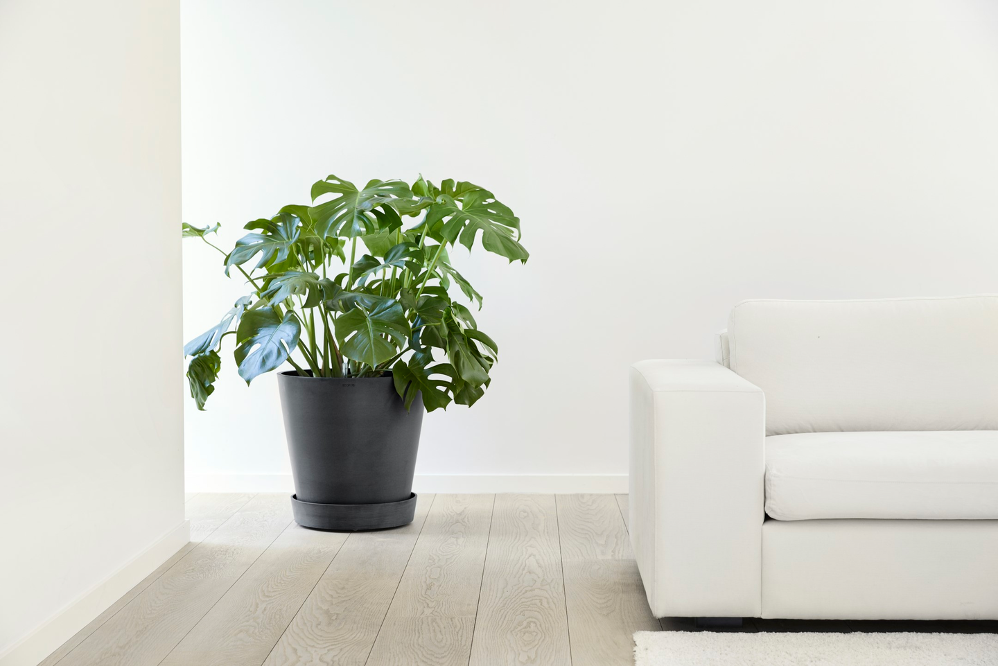 Aluslautanen pyörillä Ecopots 50cm tummanharmaa