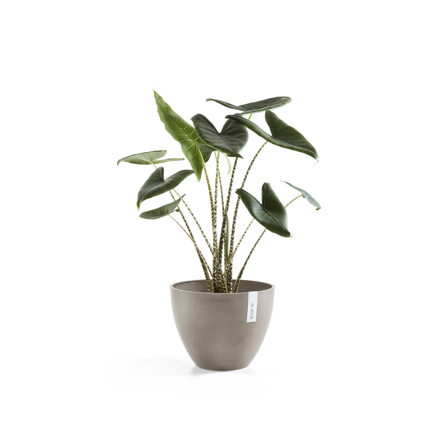 Ruukku Ecopots Antwerpen 50cm taupe