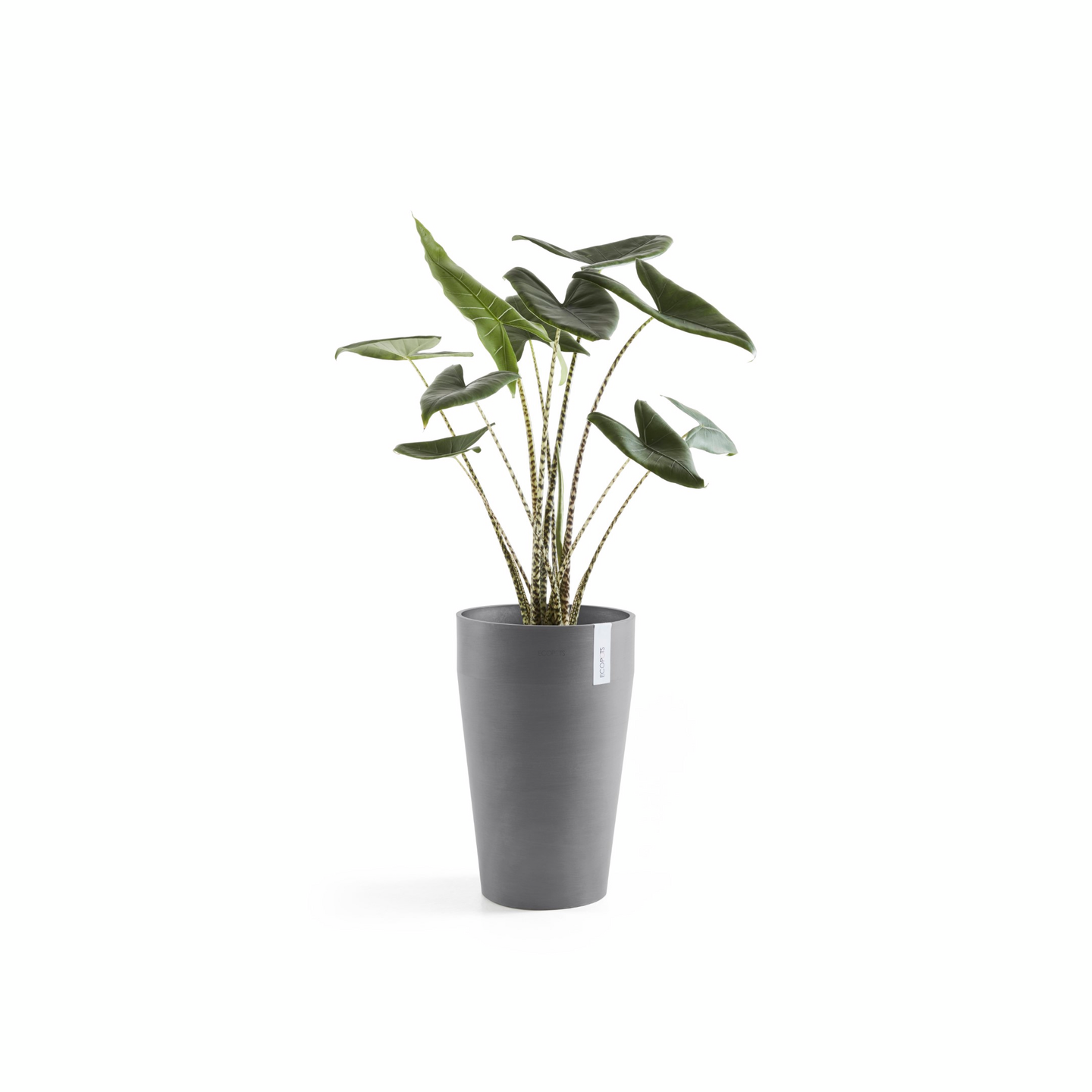 Ruukku Ecopots Sankara keskikorkea 55cm harmaa