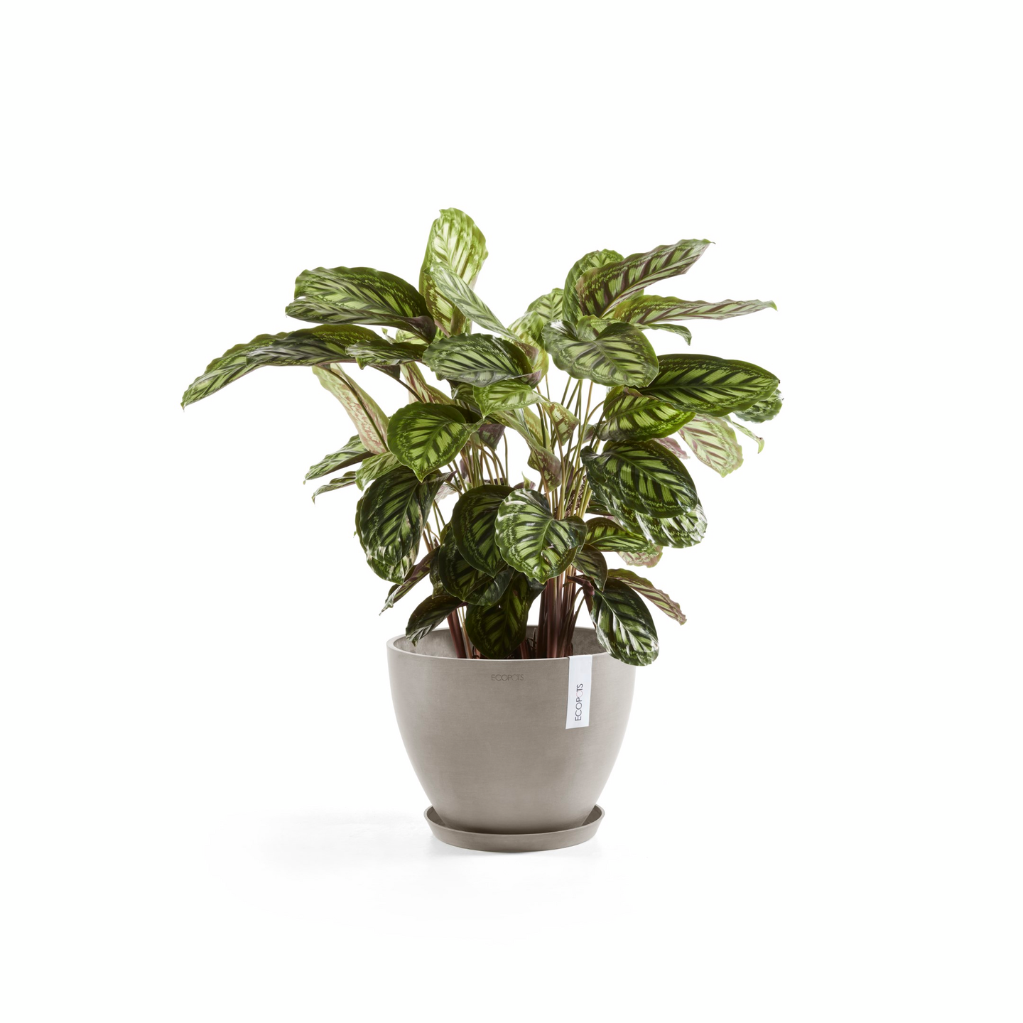 Ruukku Ecopots Antwerpen 40cm taupe