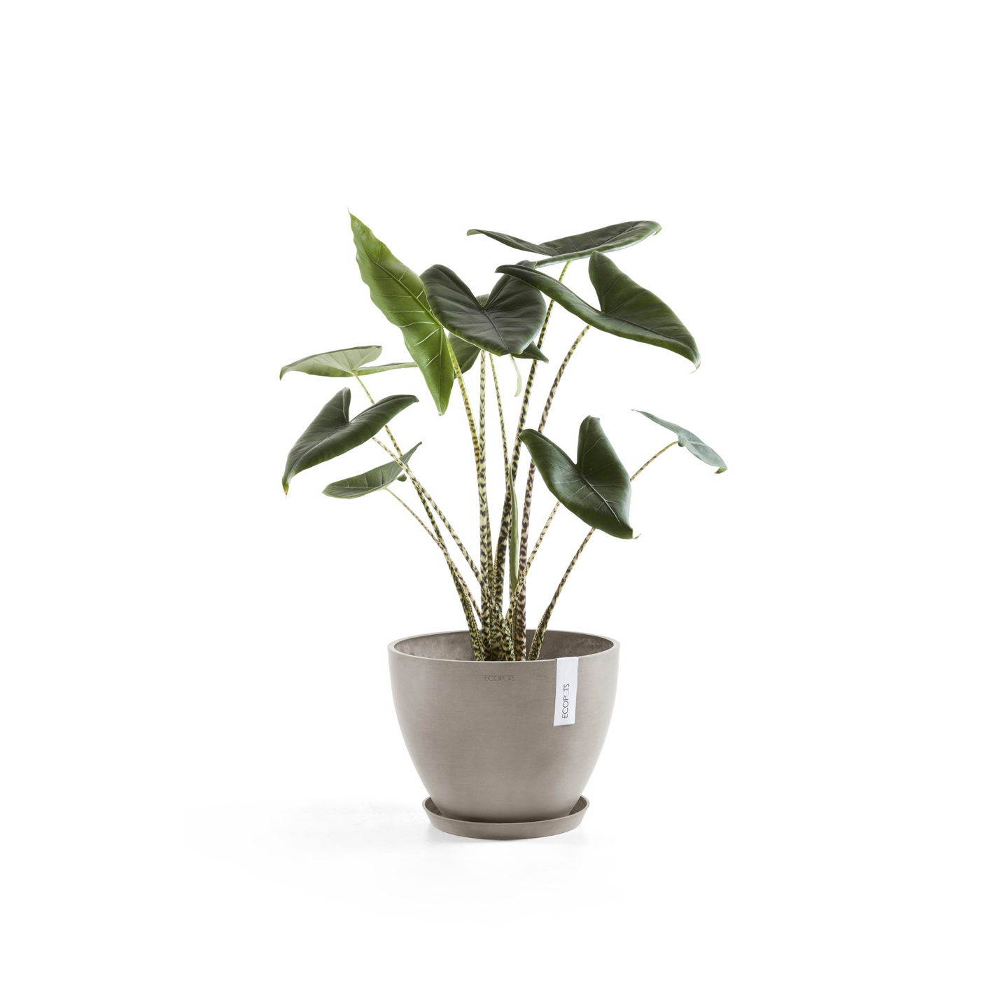 Ruukku Ecopots Antwerpen 30cm taupe