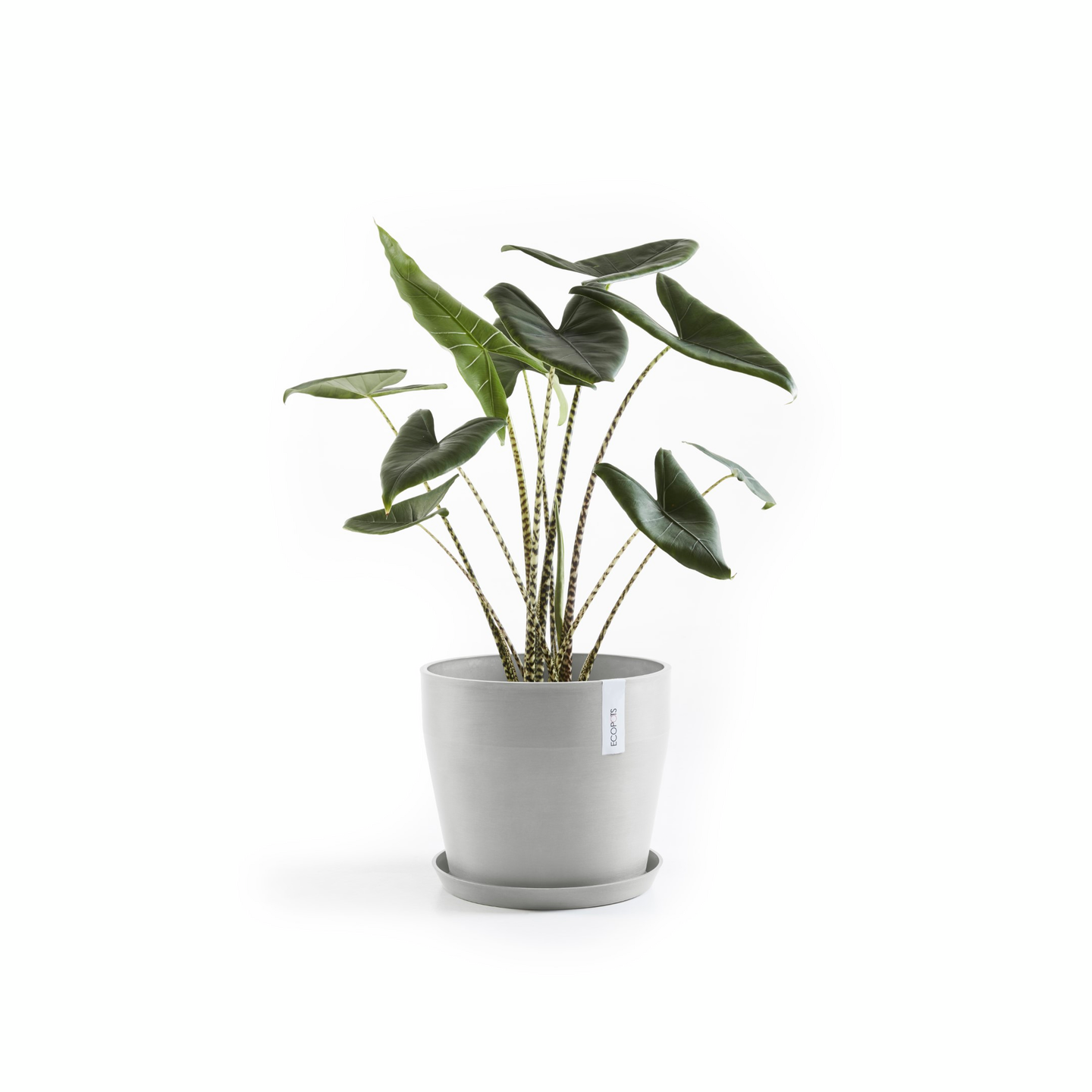 Ruukku Ecopots Sankara 40cm valkoharmaa