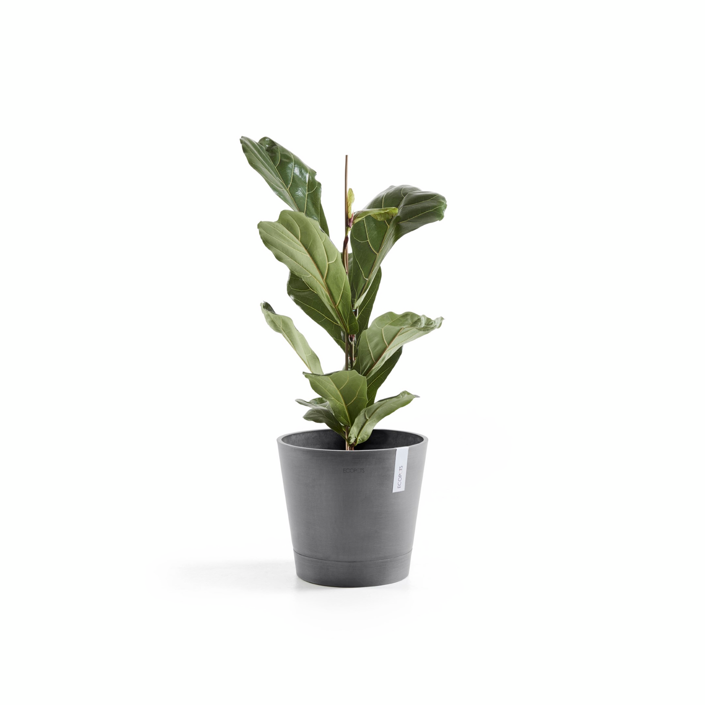 Ruukku Ecopots Venetsia 30cm harmaa