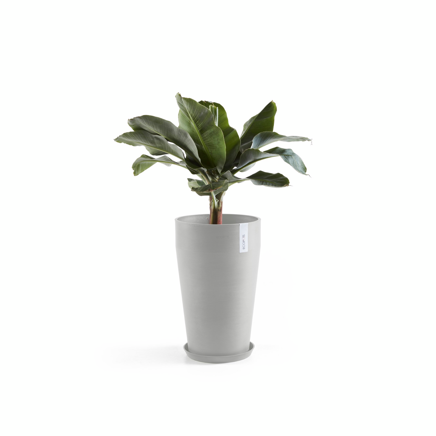 Ruukku Ecopots Sankara keskikorkea 55cm valkoharmaa