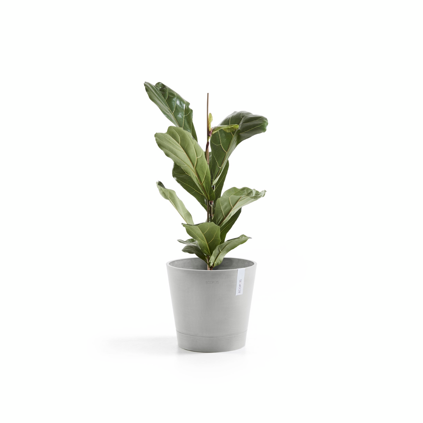 Ruukku Ecopots Venetsia 30cm valkoharmaa