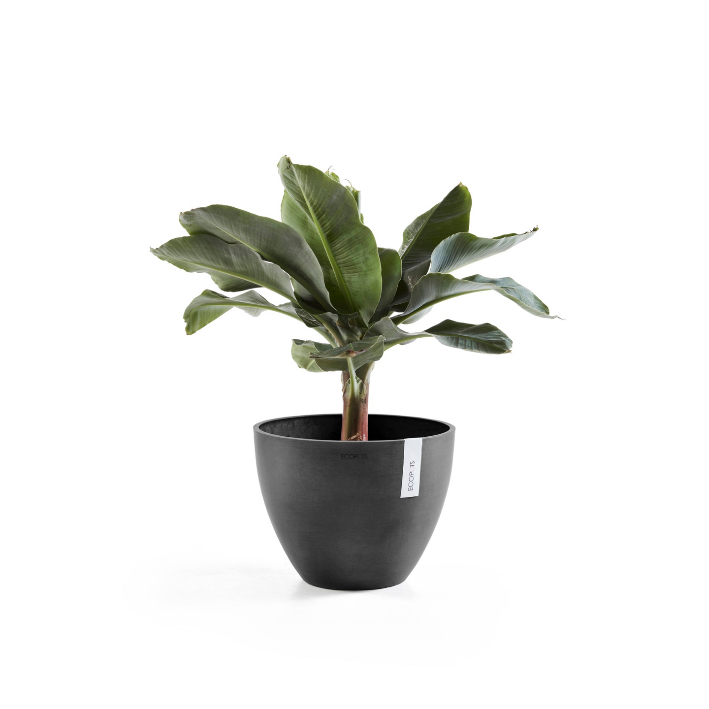 Ruukku Ecopots Antwerpen 50cm tummanharmaa