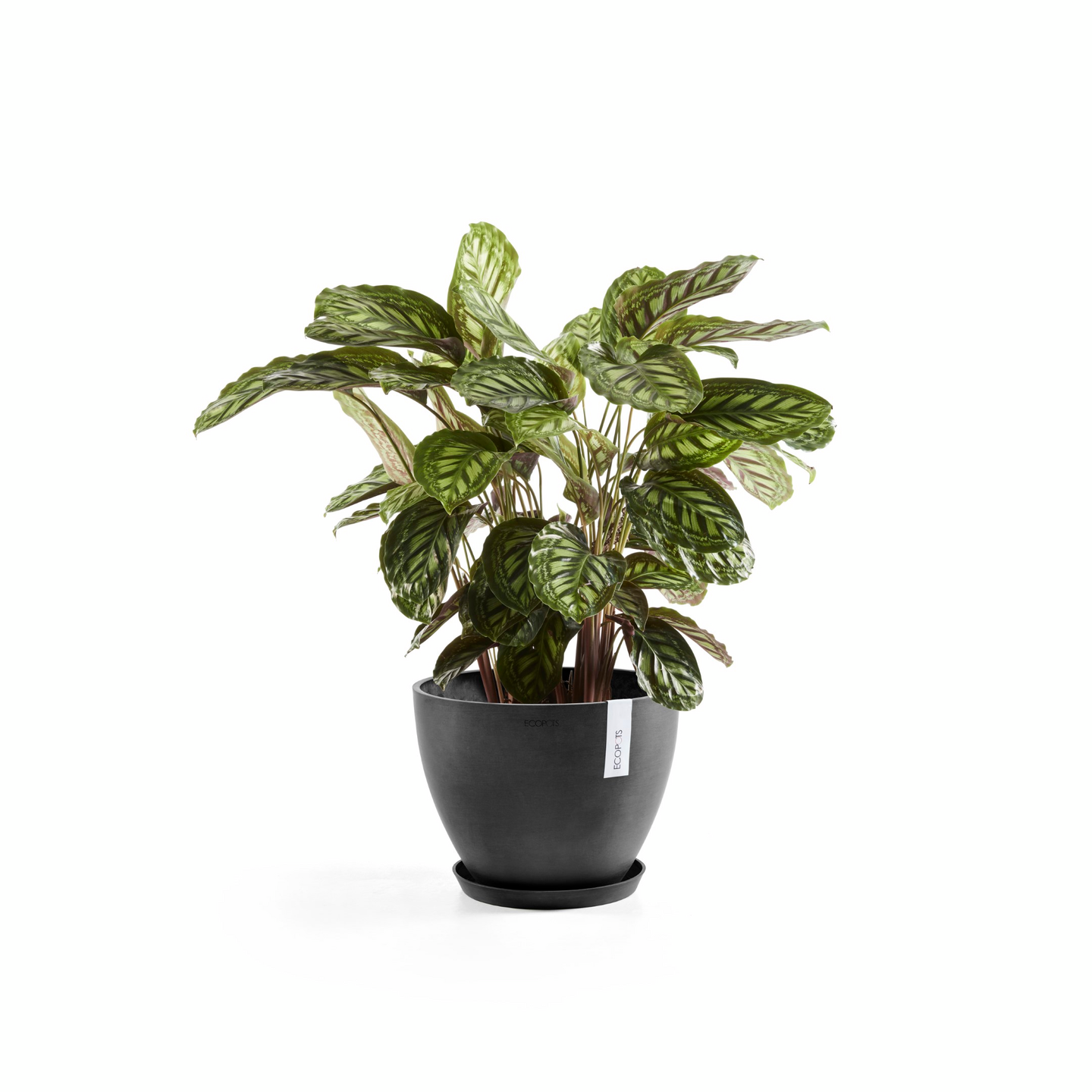 Ruukku Ecopots Antwerpen 40cm tummanharmaa