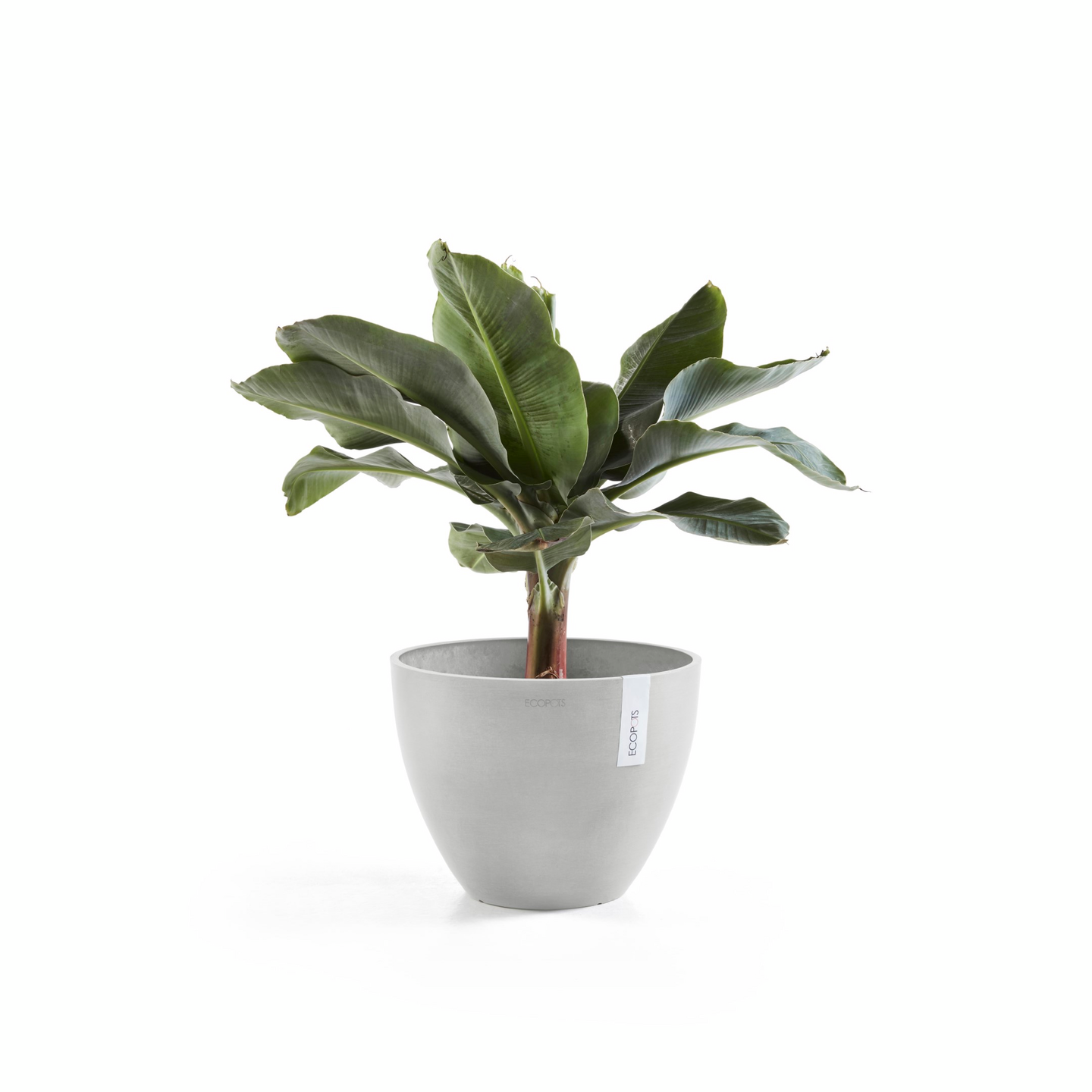 Ruukku Ecopots Antwerpen 30cm valkoharmaa