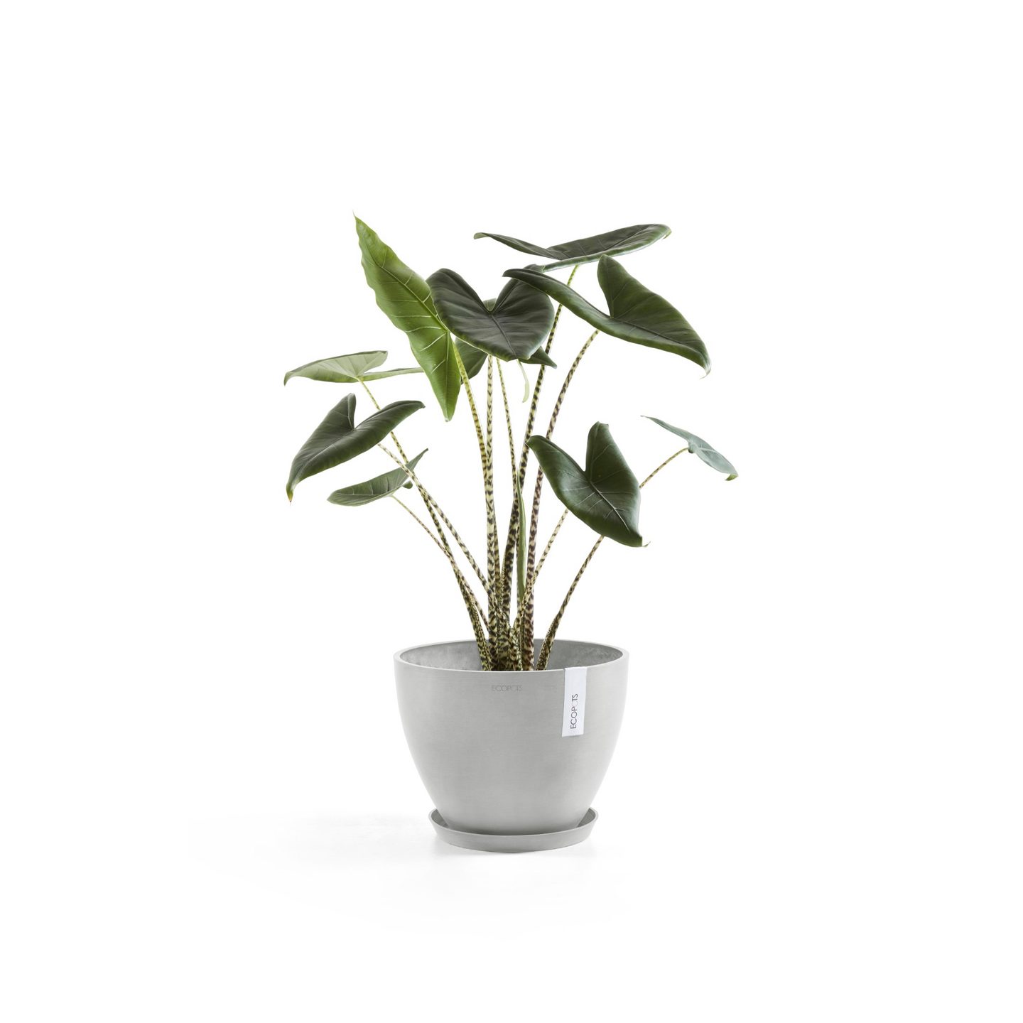 Ruukku Ecopots Antwerpen 40cm valkoharmaa