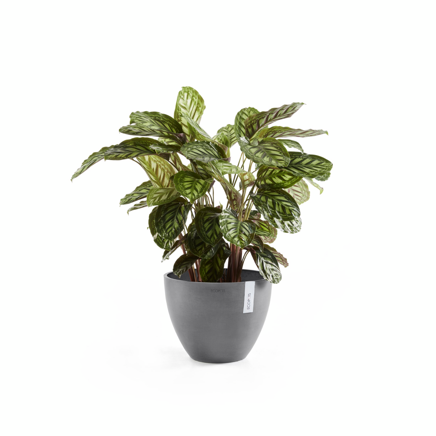 Ruukku Ecopots Antwerpen 30cm harmaa