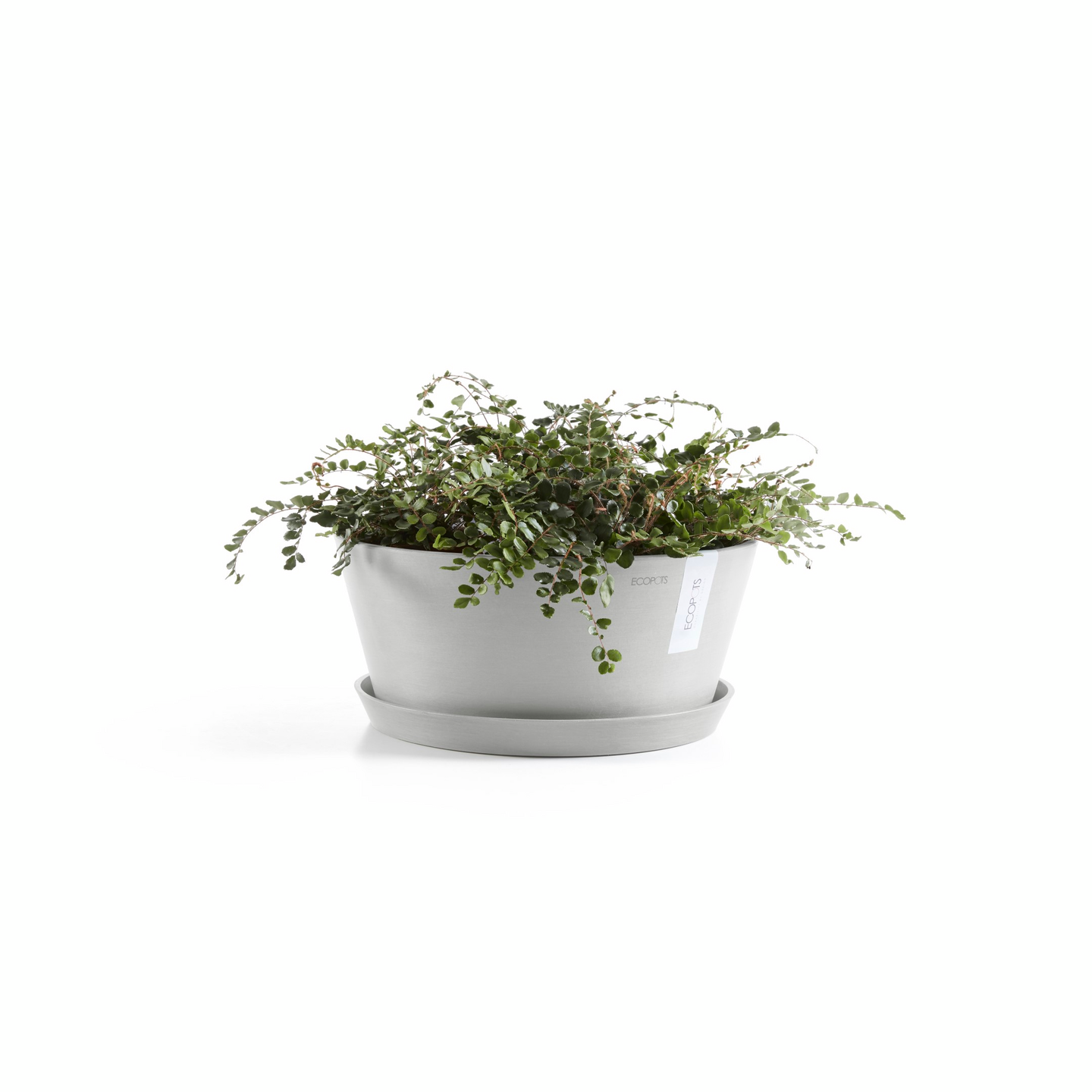 Ruukku Ecopots Frankfurt 30cm valkoharmaa