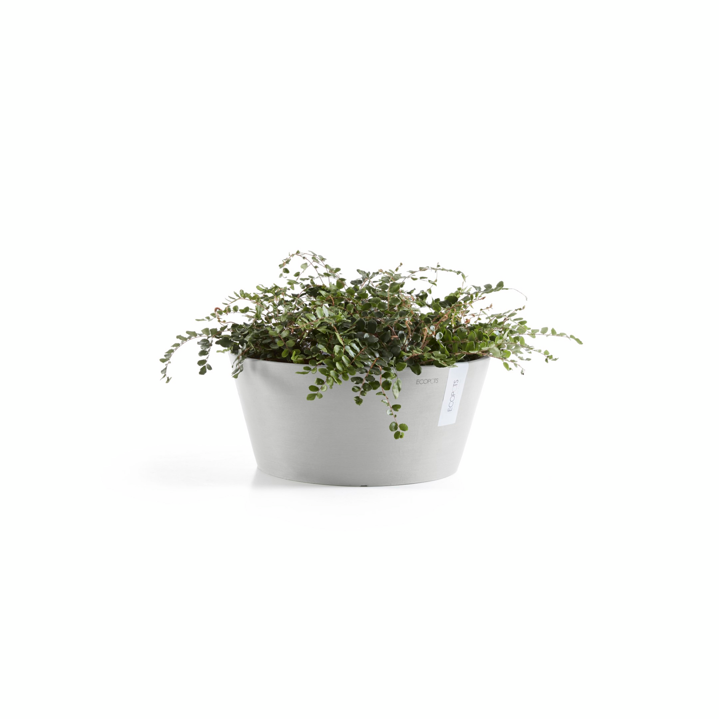 Ruukku Ecopots Frankfurt 30cm valkoharmaa
