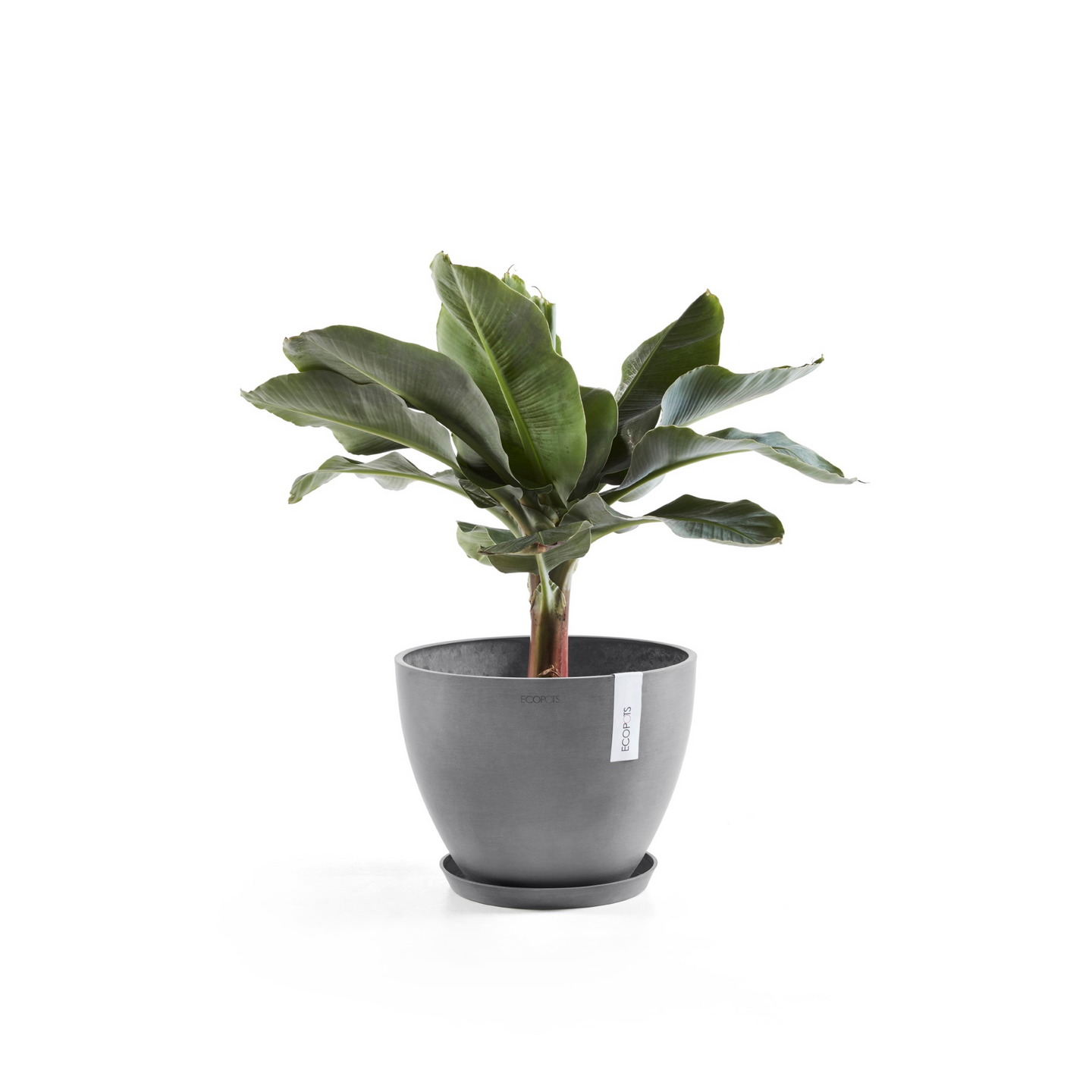 Ruukku Ecopots Antwerpen 30cm harmaa