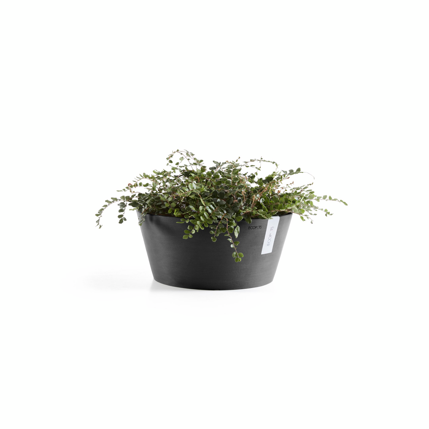 Esillepanotarjotin Ecopots 25cm tummansininen