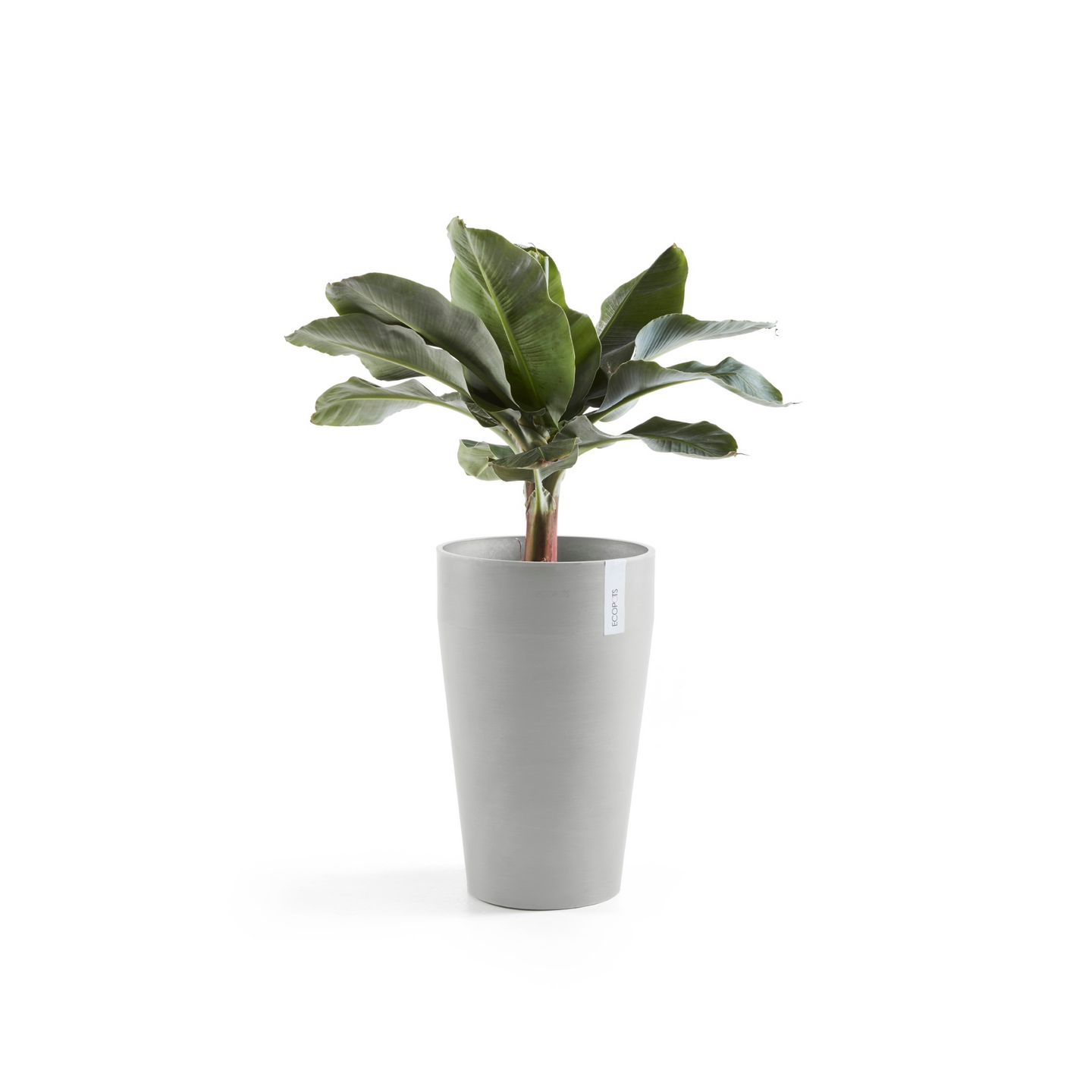 Ruukku Ecopots Sankara keskikorkea 55cm valkoharmaa