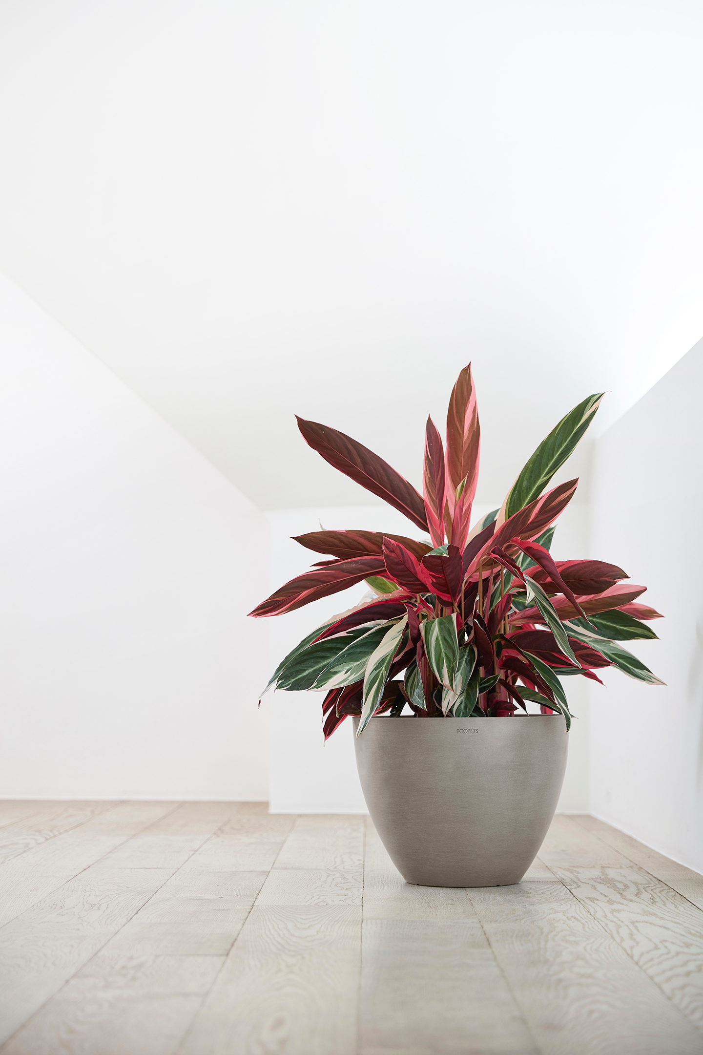 Ruukku Ecopots Antwerpen 40cm taupe