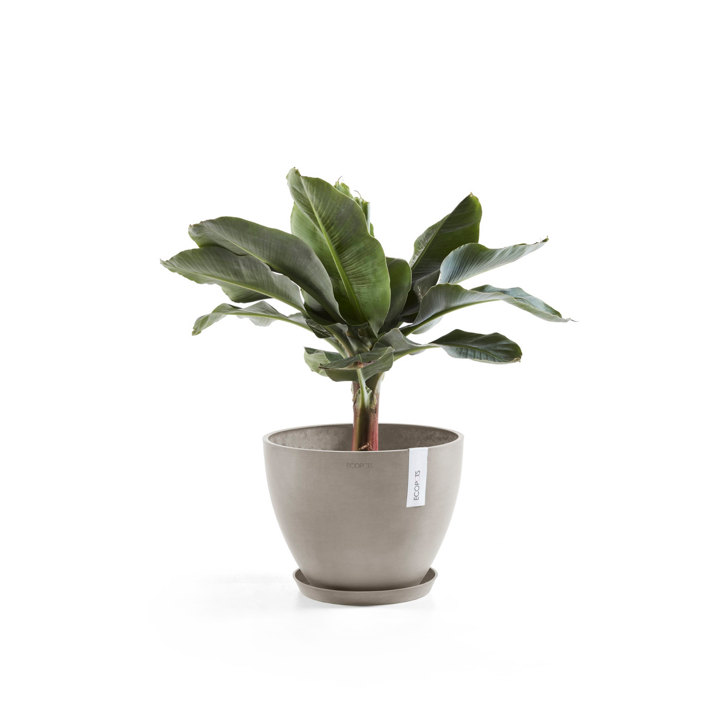 Ruukku Ecopots Antwerpen 50cm taupe