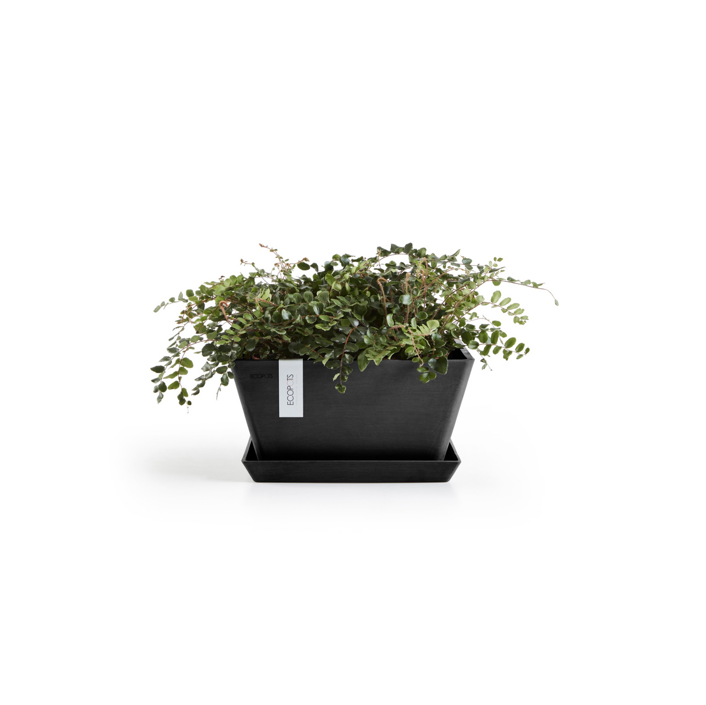 Ruukku Ecopots Berliini 30cm tummanharmaa