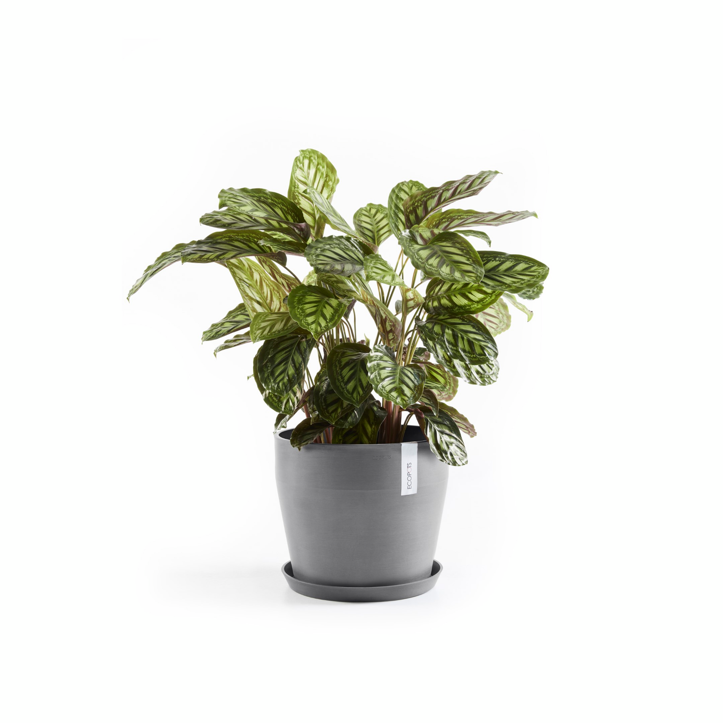Ruukku Ecopots Sankara 40cm harmaa