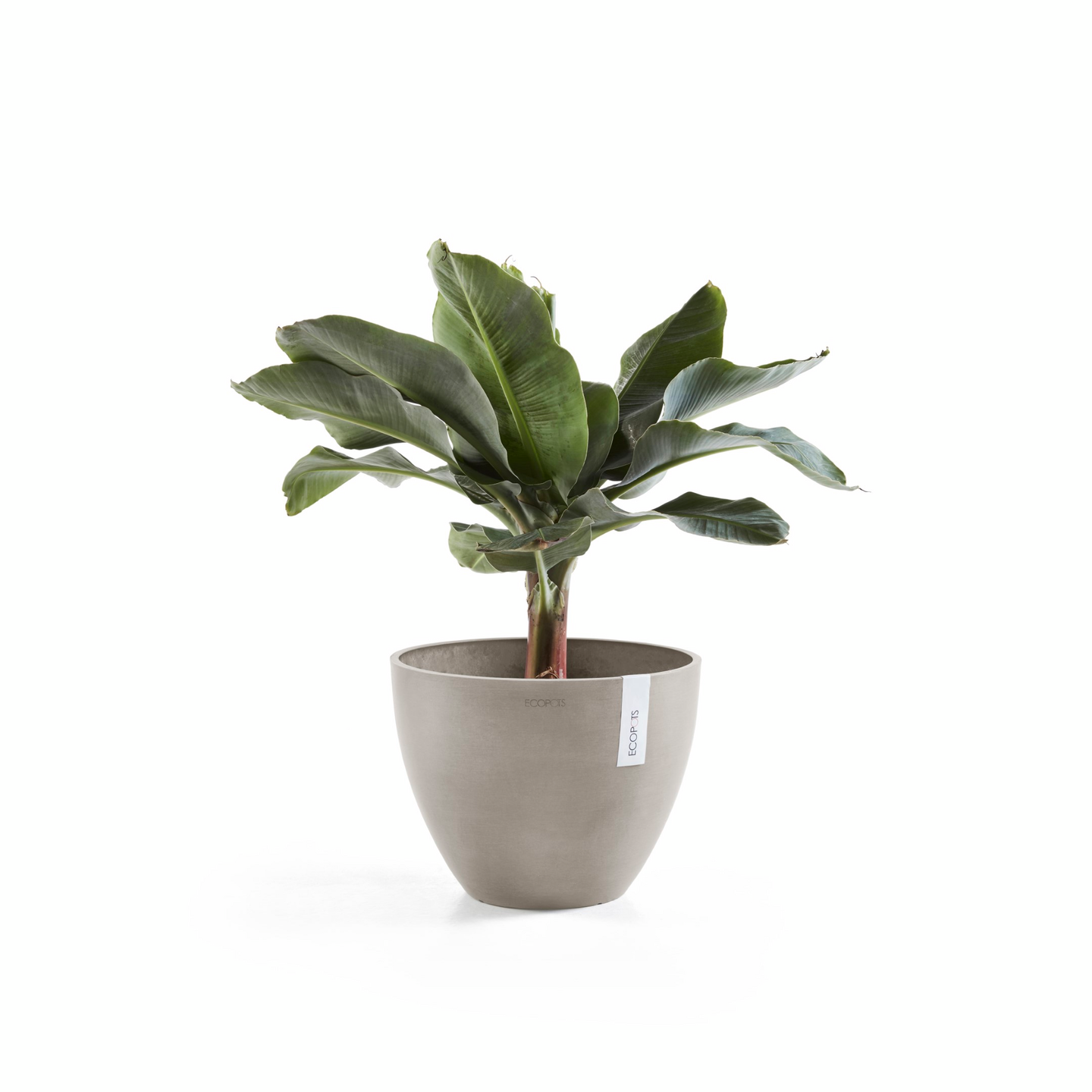 Ruukku Ecopots Antwerpen 30cm taupe