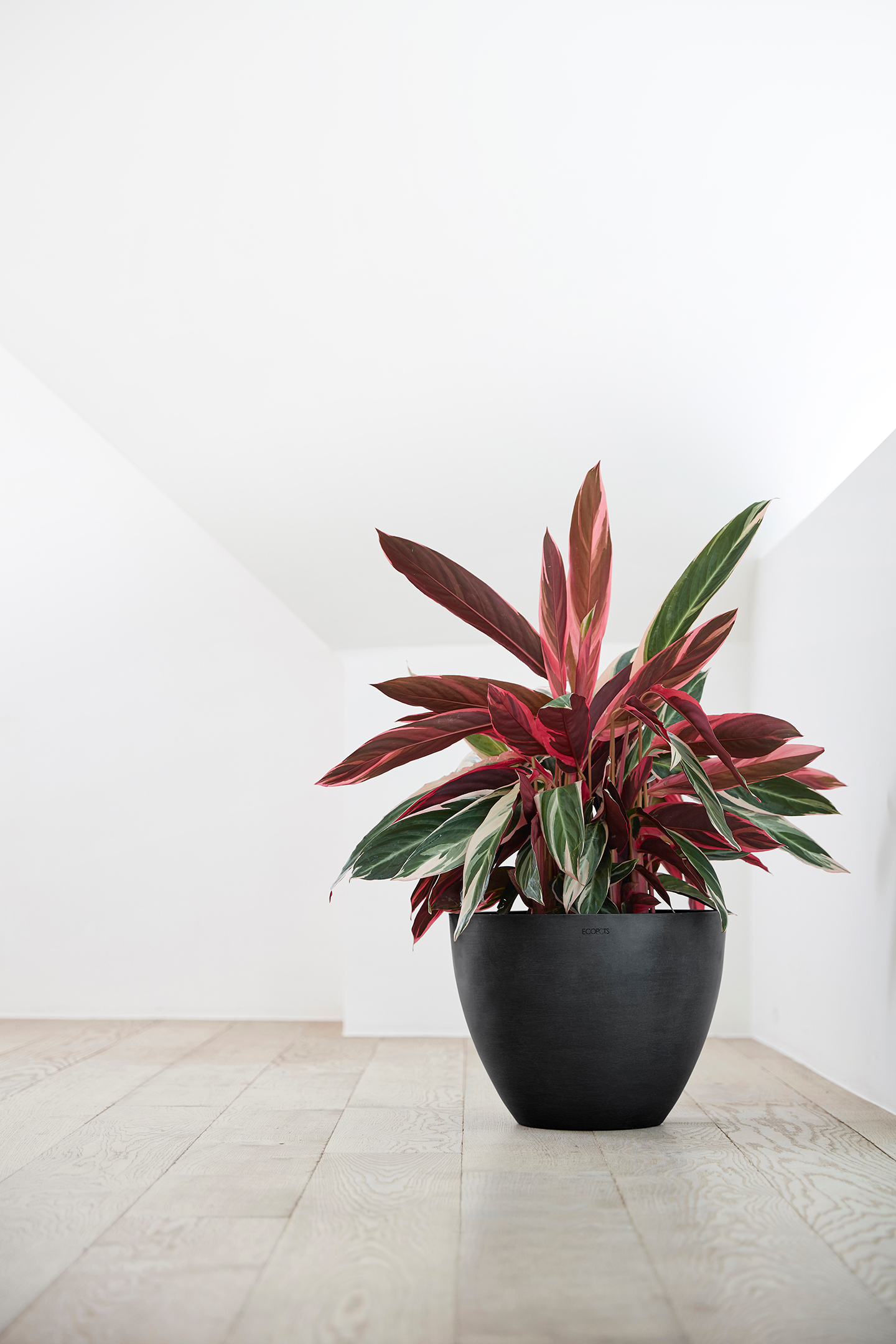 Ruukku Ecopots Antwerpen 40cm tummanharmaa