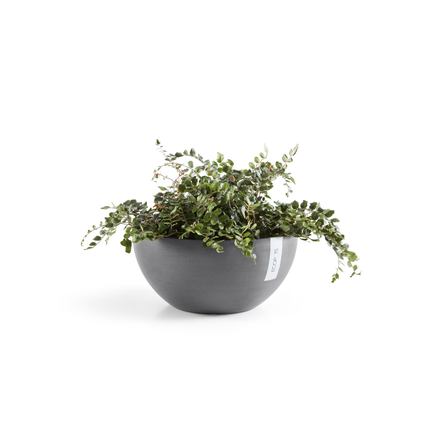 Ruukku Ecopots Brysseli 30cm harmaa